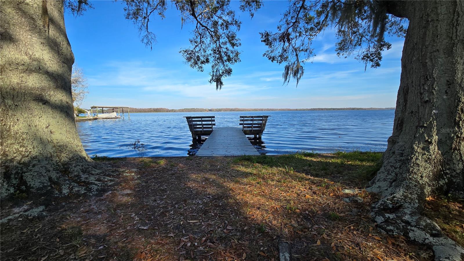 20 CYPRESS DR, PALM HARBOR, FL, 34684