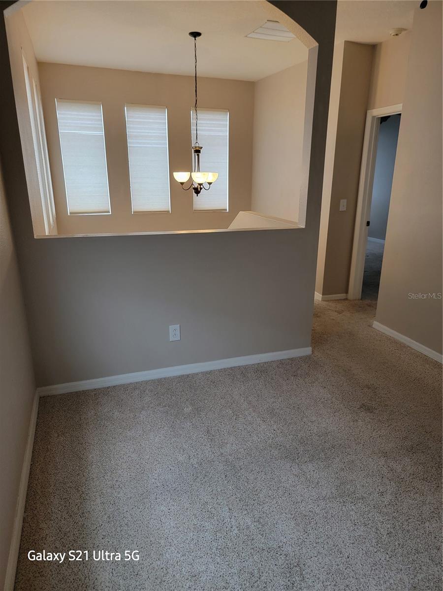 1028 TULLAMORE DR, WESLEY CHAPEL, FL, 33543