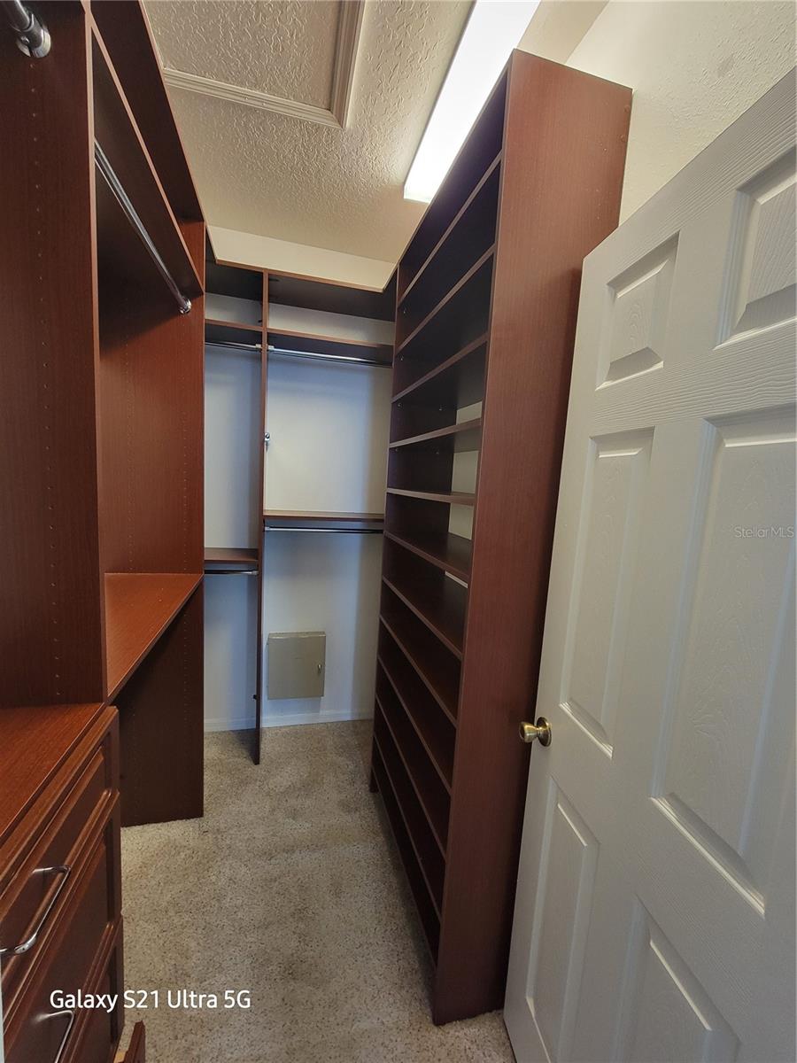 1028 TULLAMORE DR, WESLEY CHAPEL, FL, 33543