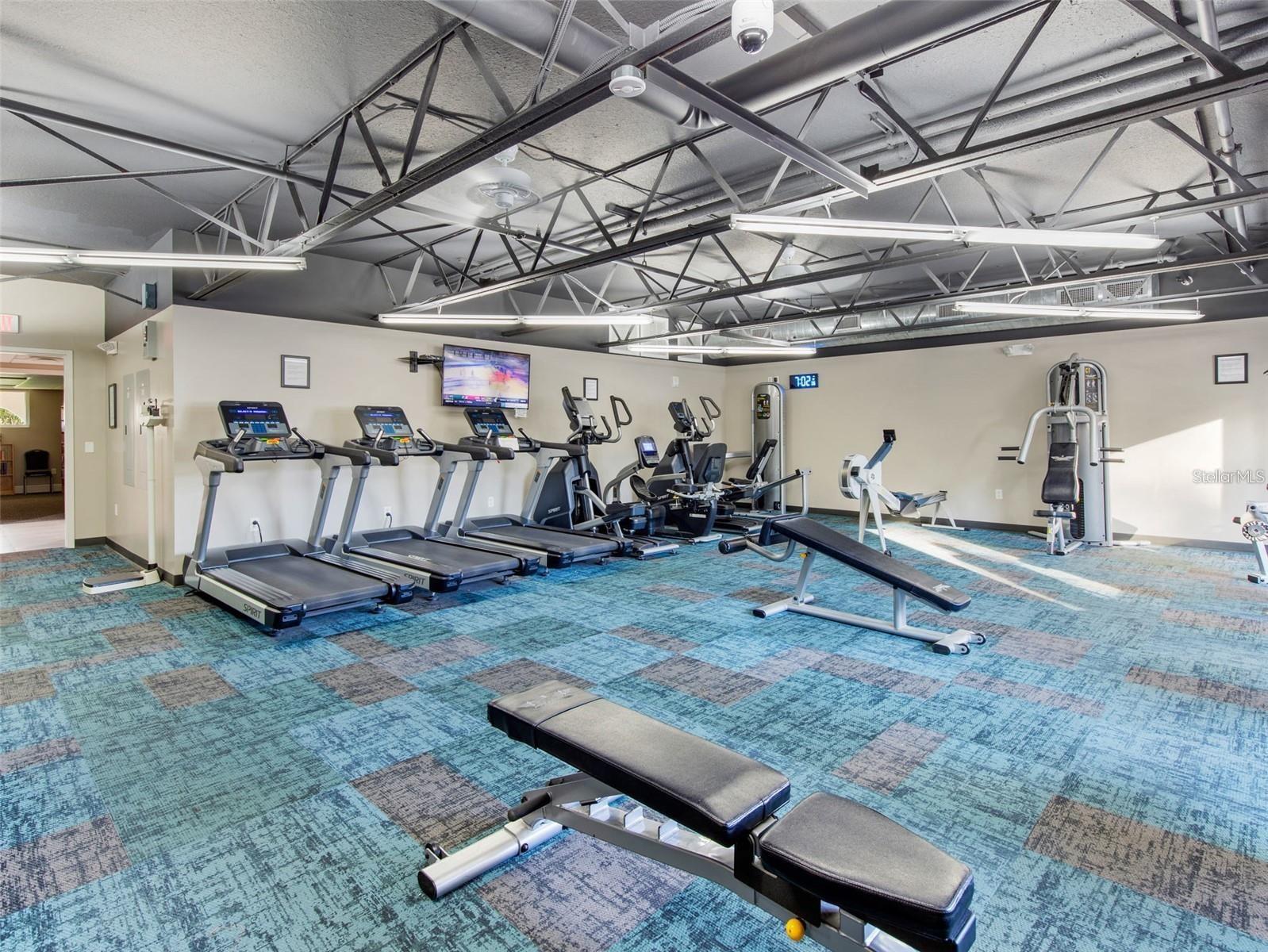 11830 WAX MYRTLE CT, NEW PORT RICHEY, FL, 34654