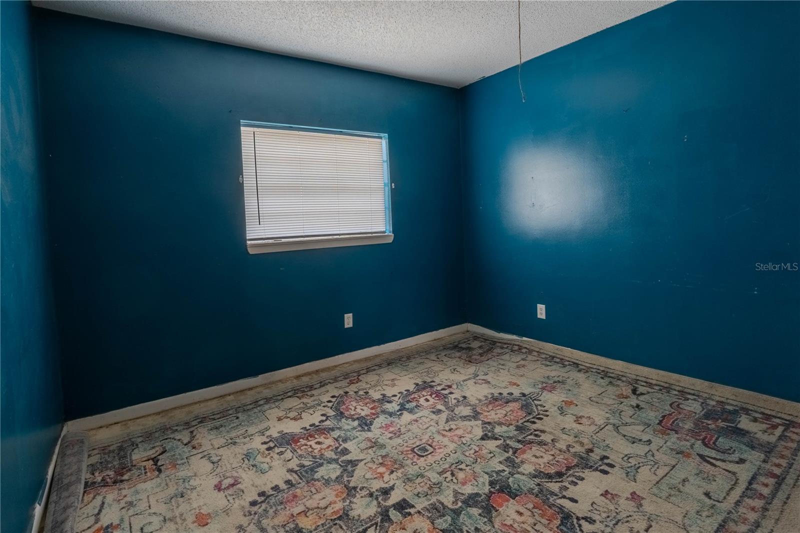 1906 NANCY ANN TER, OCOEE, FL, 34761