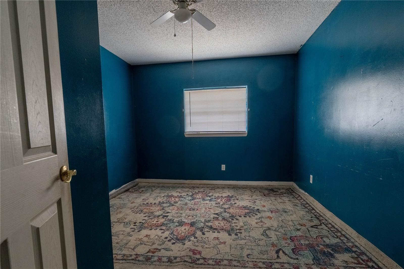 1906 NANCY ANN TER, OCOEE, FL, 34761