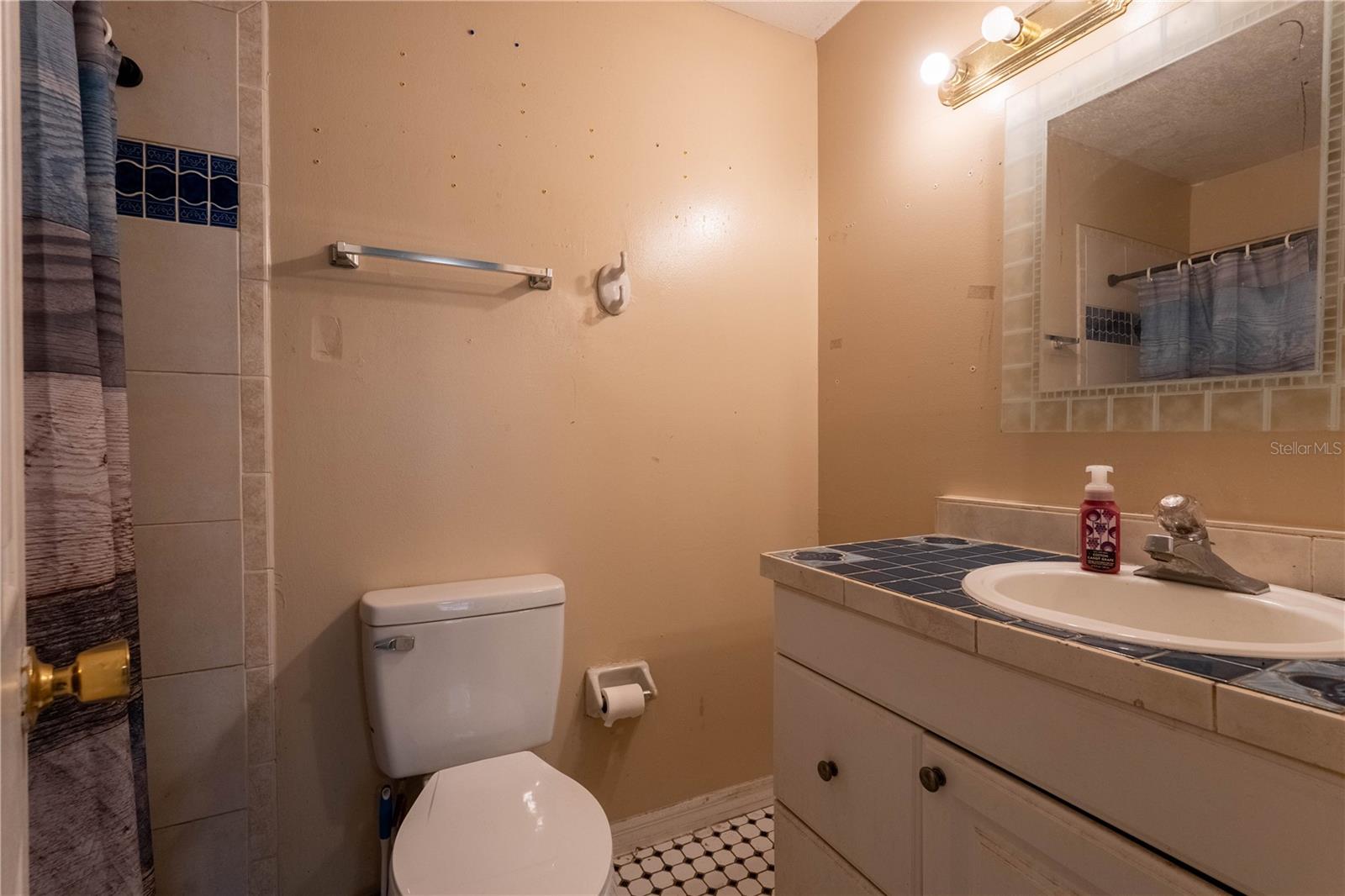 1906 NANCY ANN TER, OCOEE, FL, 34761
