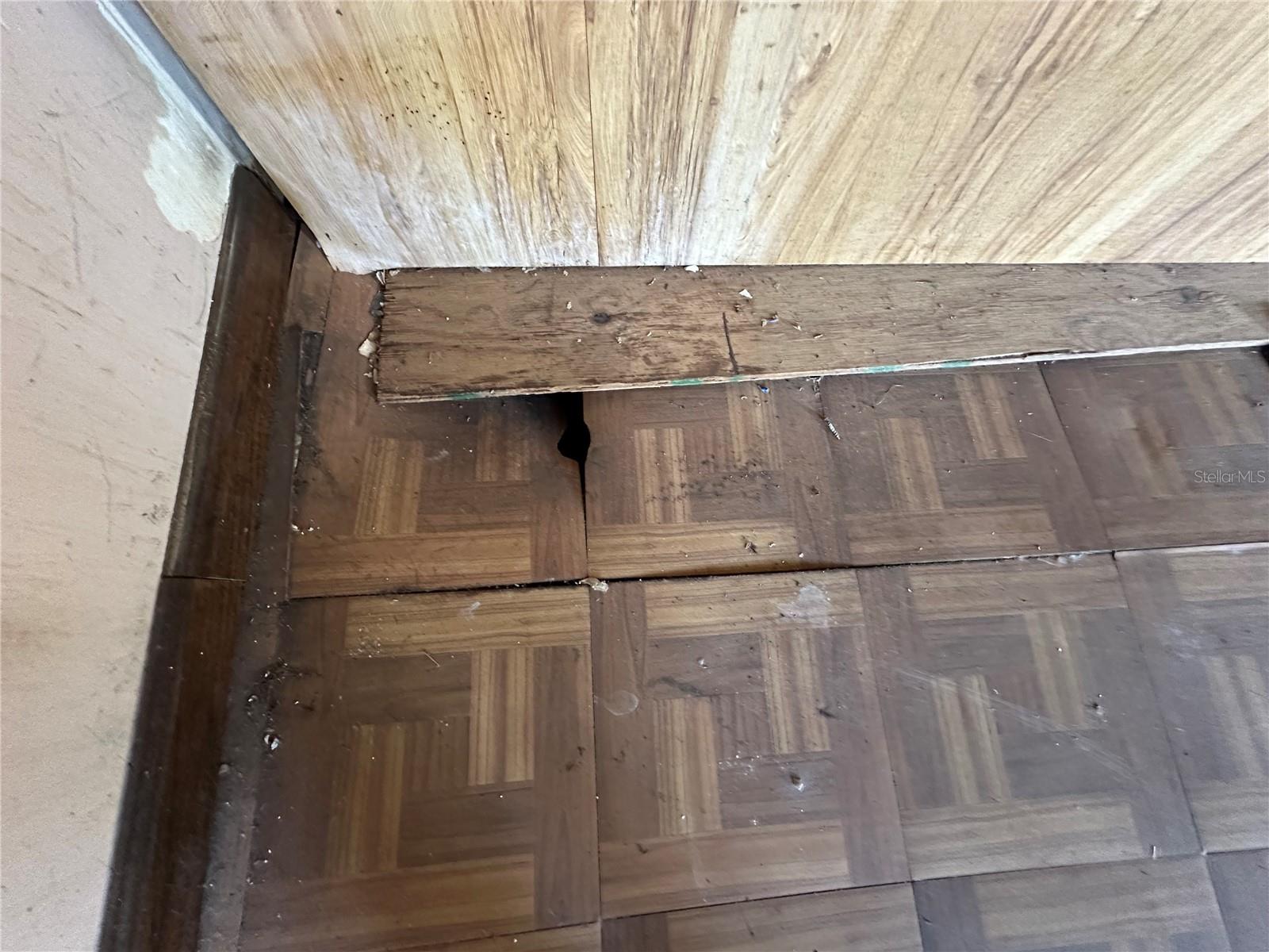 1109 PIONEER TRL, LEESBURG, FL, 34748