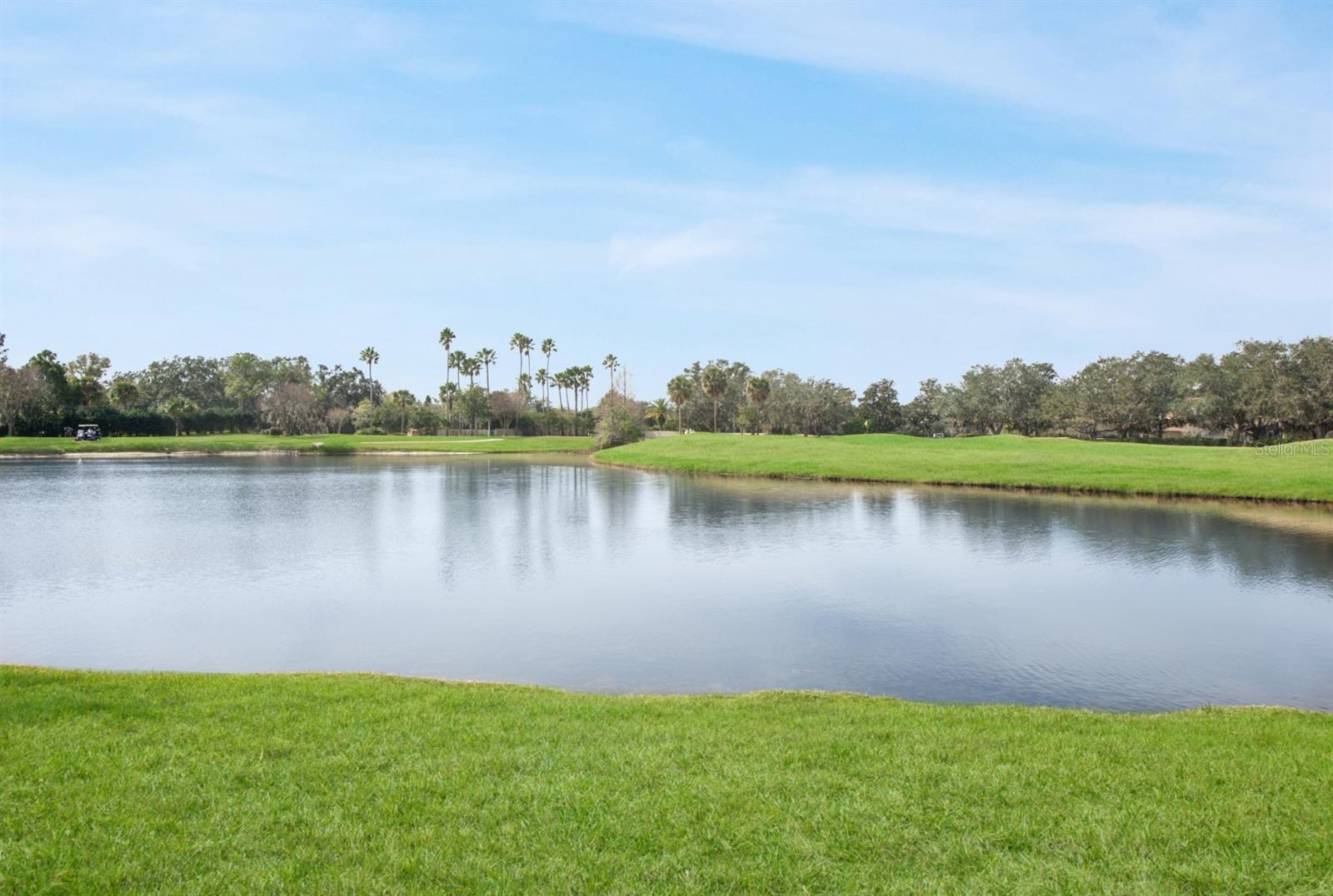 1401 SWEET BAY CT, KISSIMMEE, FL, 34744