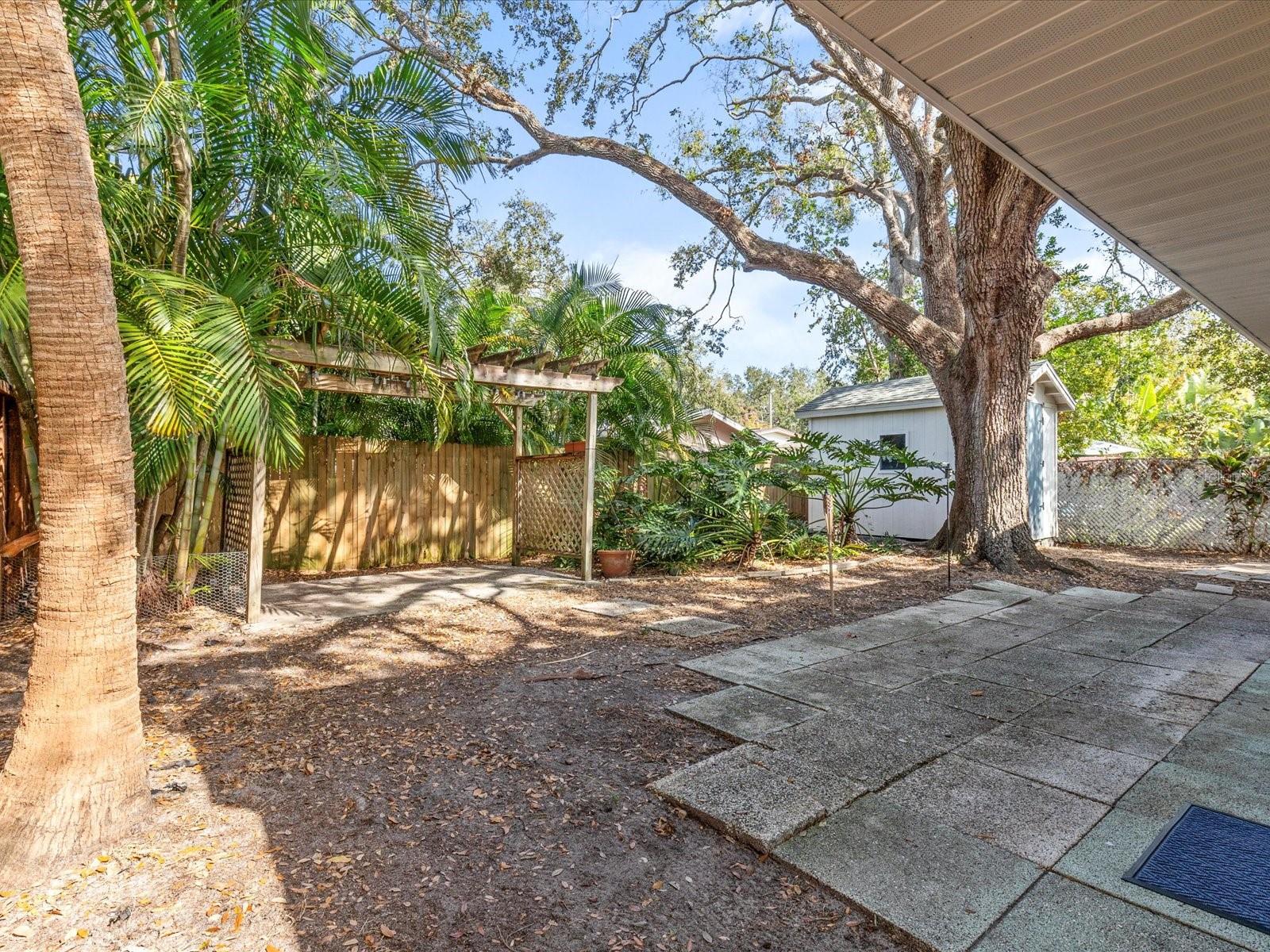 3211 W OAKELLAR AVE, TAMPA, FL, 33611