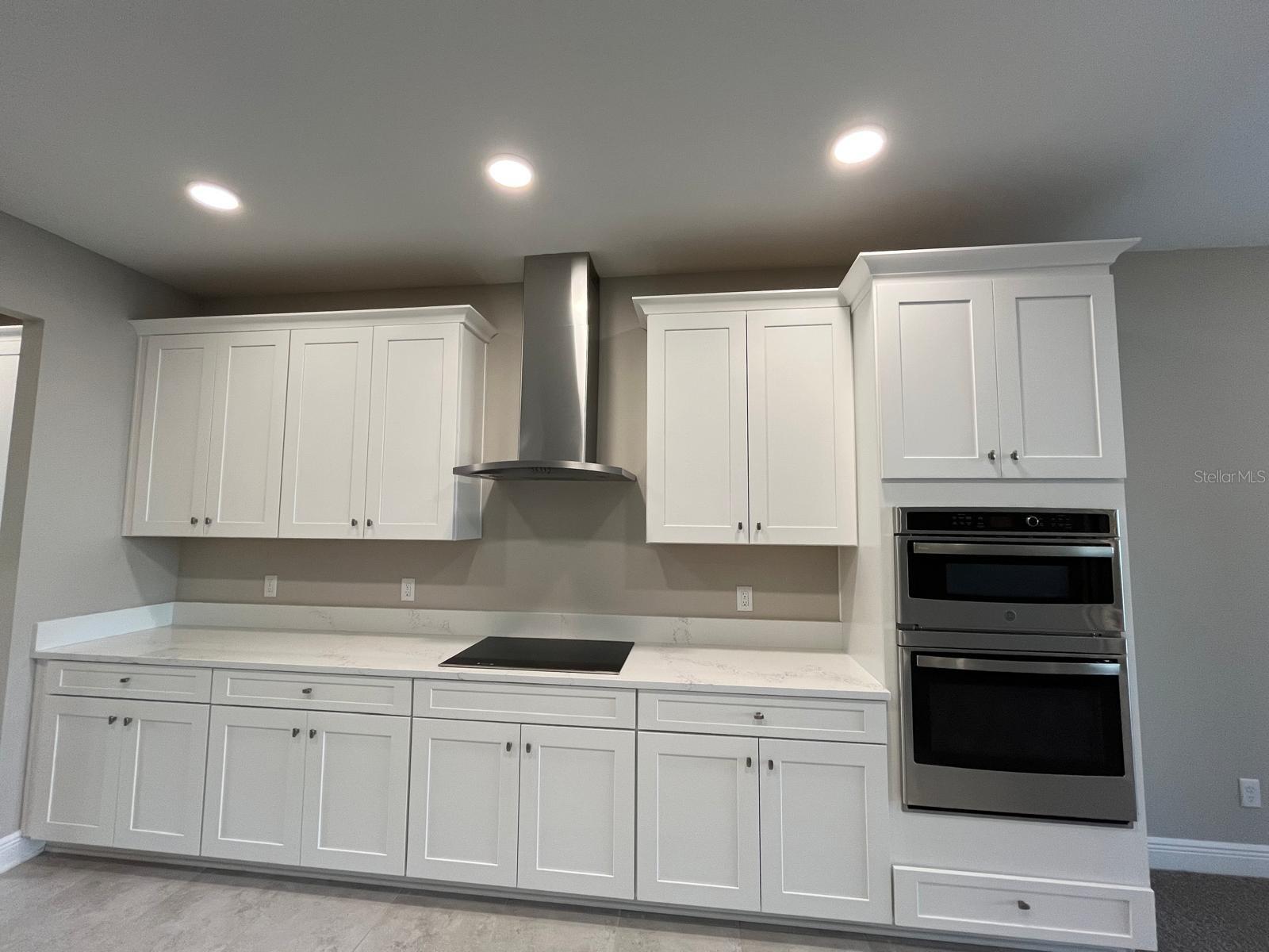 32496 SAPNA CHIME DR, WESLEY CHAPEL, FL, 33545