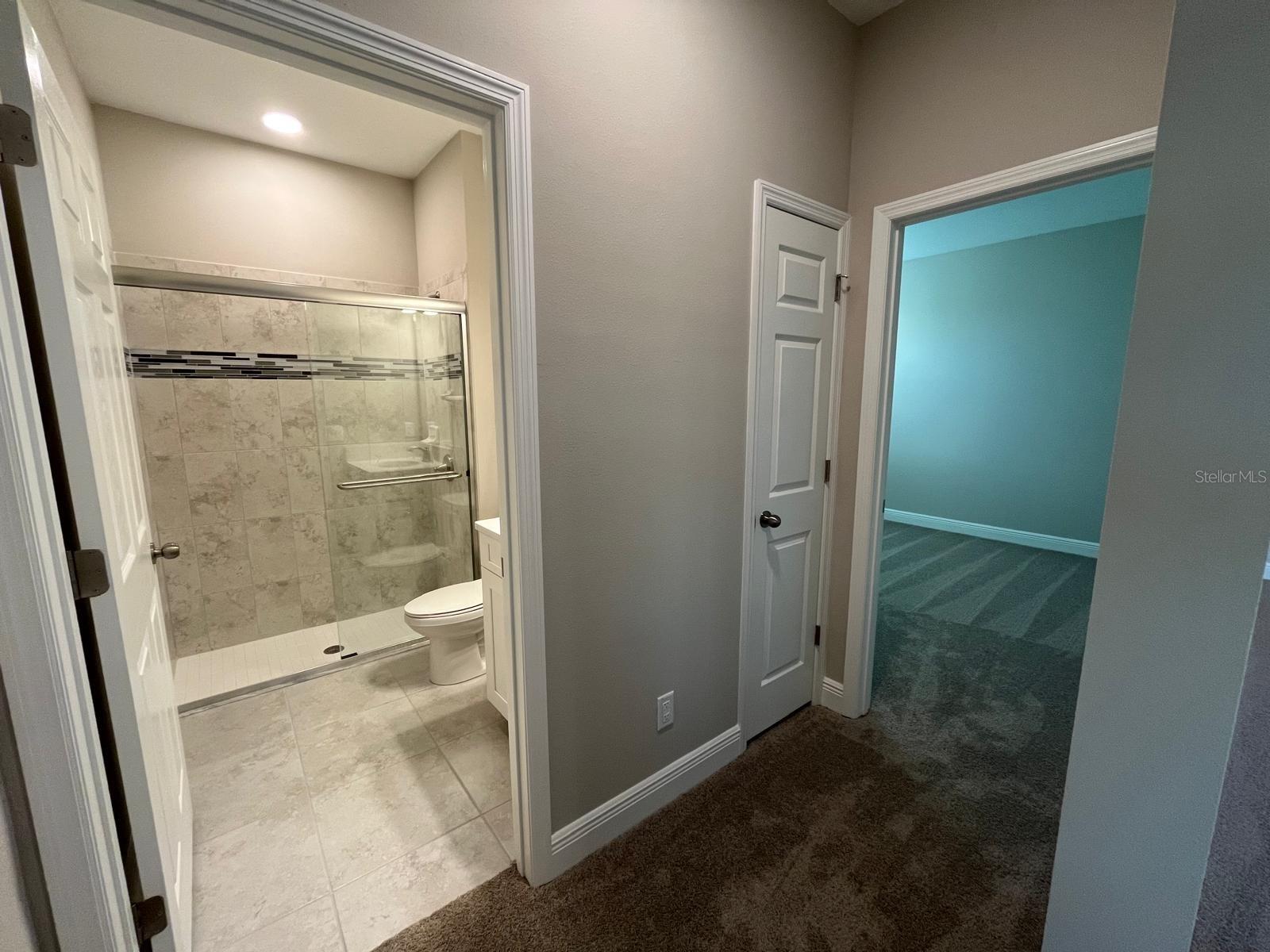 32496 SAPNA CHIME DR, WESLEY CHAPEL, FL, 33545