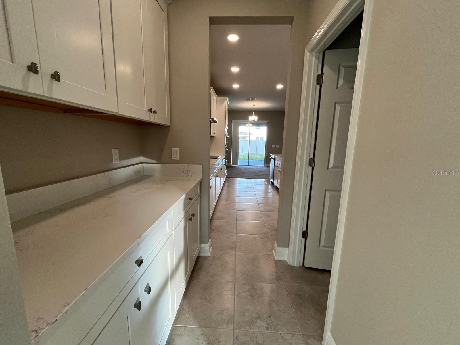 32496 SAPNA CHIME DR, WESLEY CHAPEL, FL, 33545