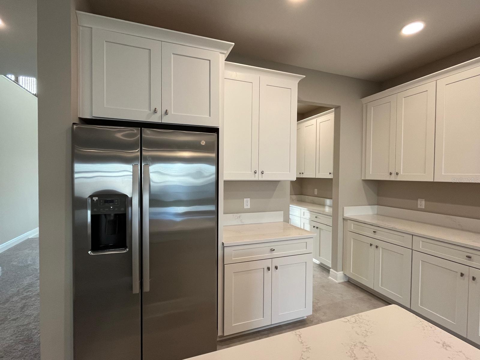 32496 SAPNA CHIME DR, WESLEY CHAPEL, FL, 33545