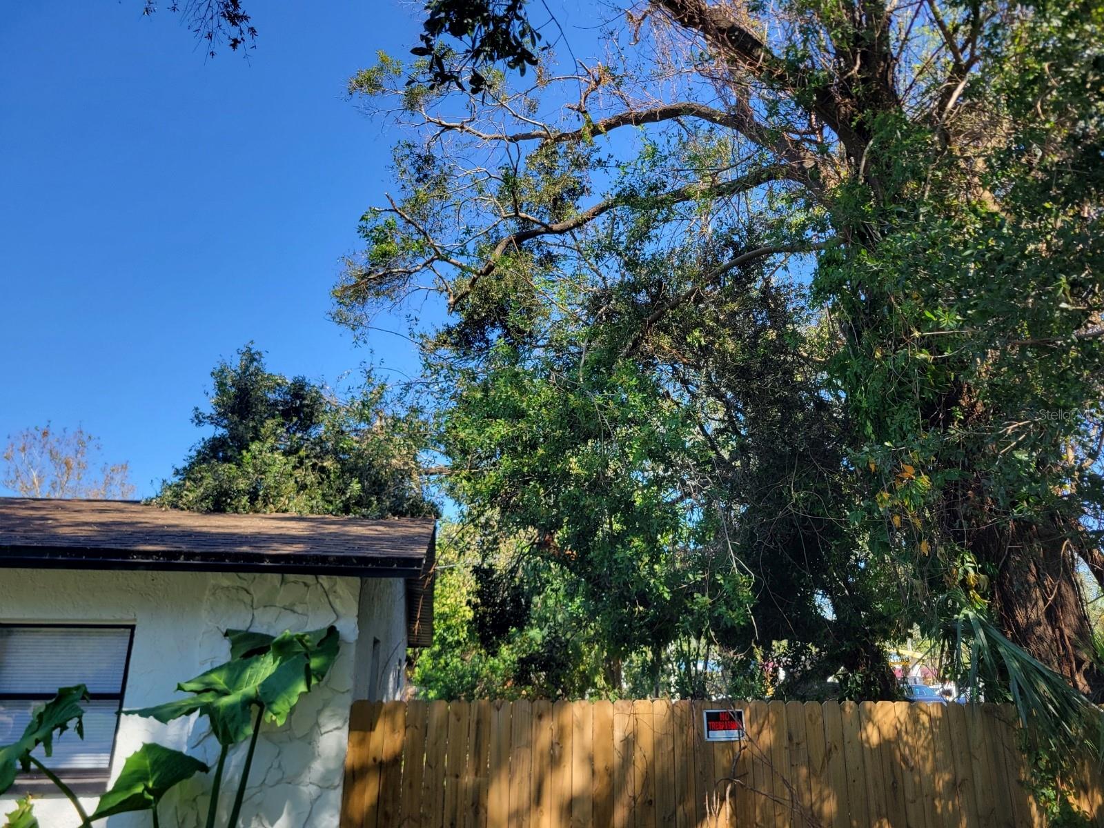 3445 10TH AVE N, ST PETERSBURG, FL, 33713