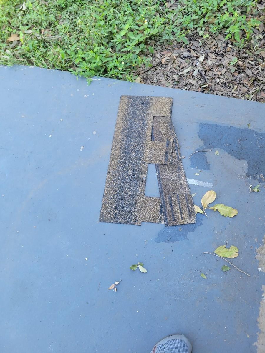 3445 10TH AVE N, ST PETERSBURG, FL, 33713