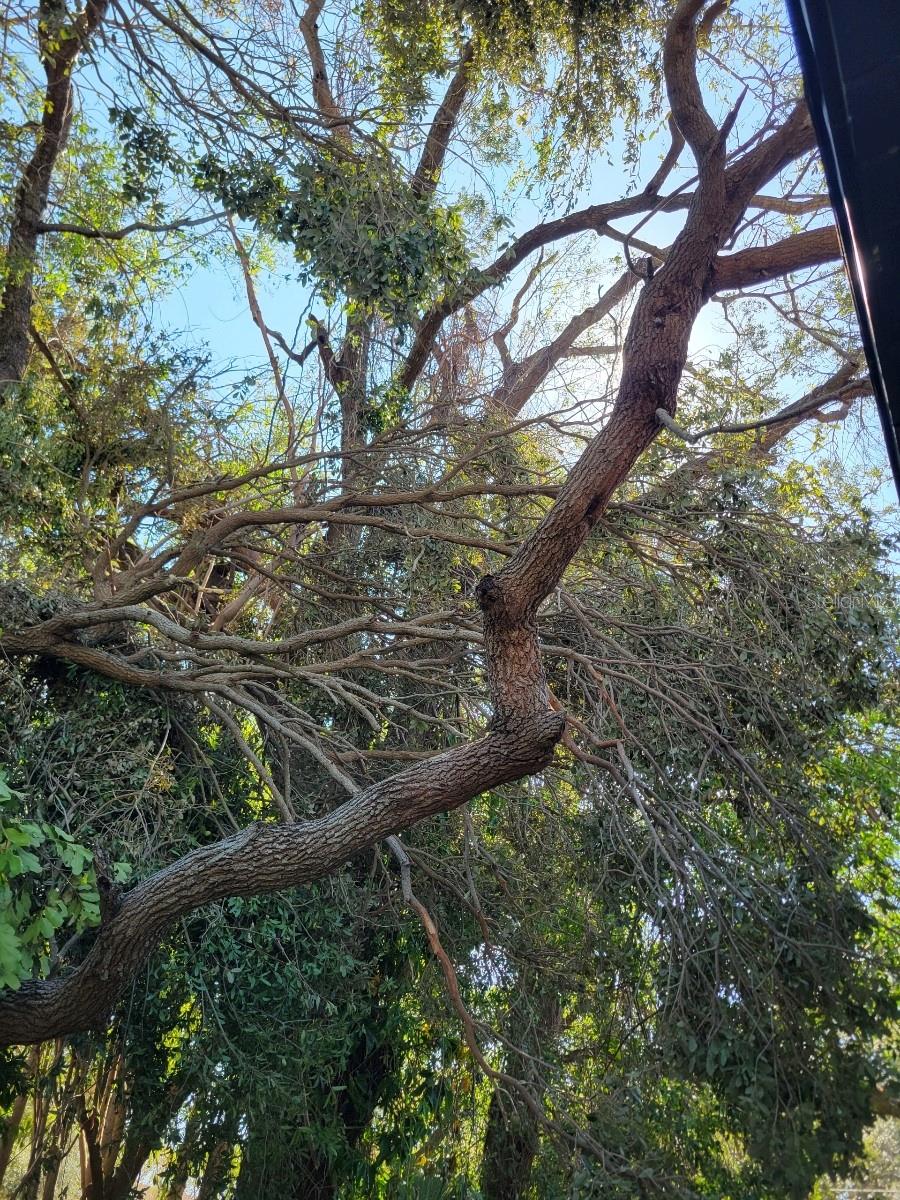 3445 10TH AVE N, ST PETERSBURG, FL, 33713