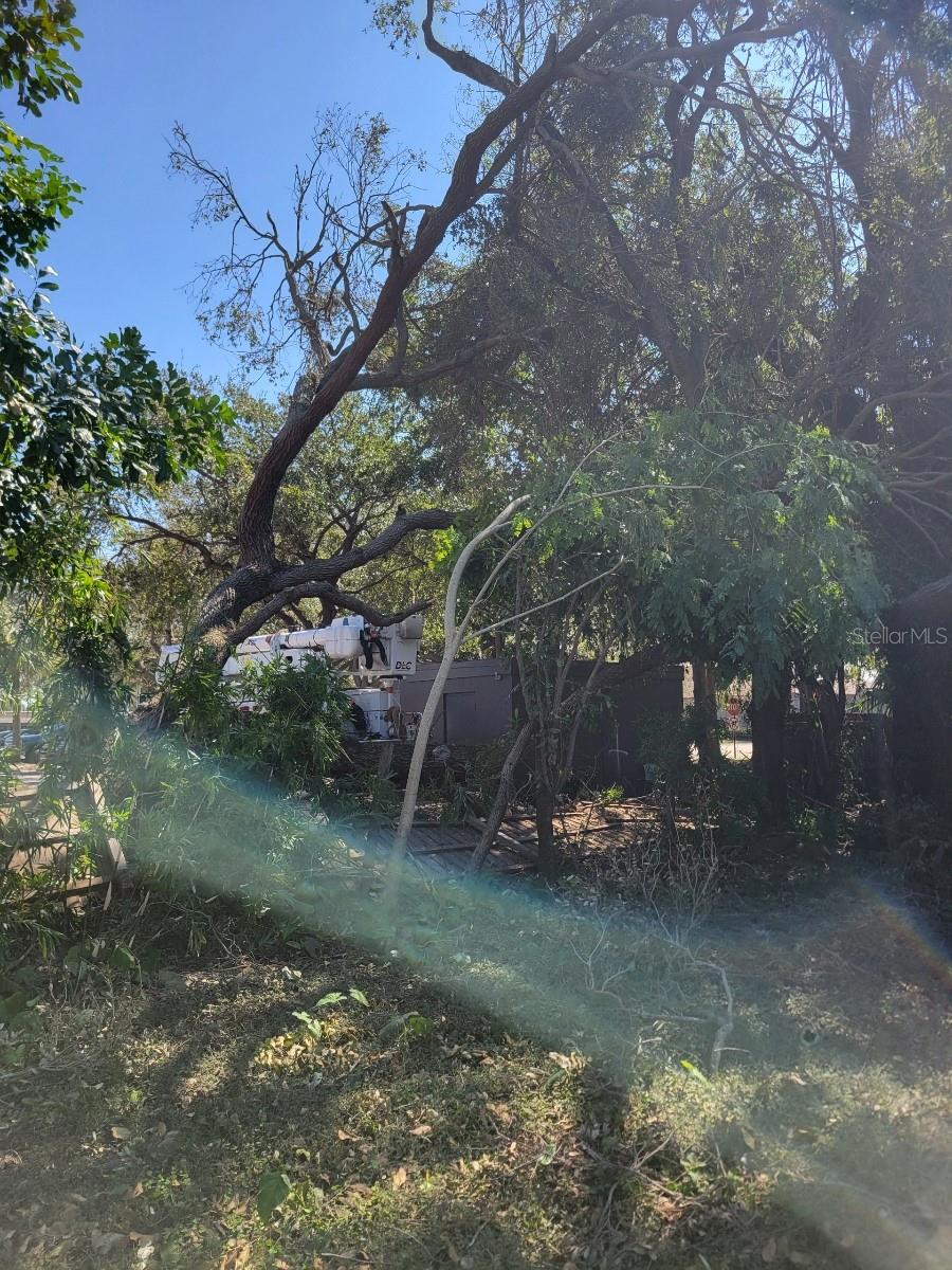 3445 10TH AVE N, ST PETERSBURG, FL, 33713