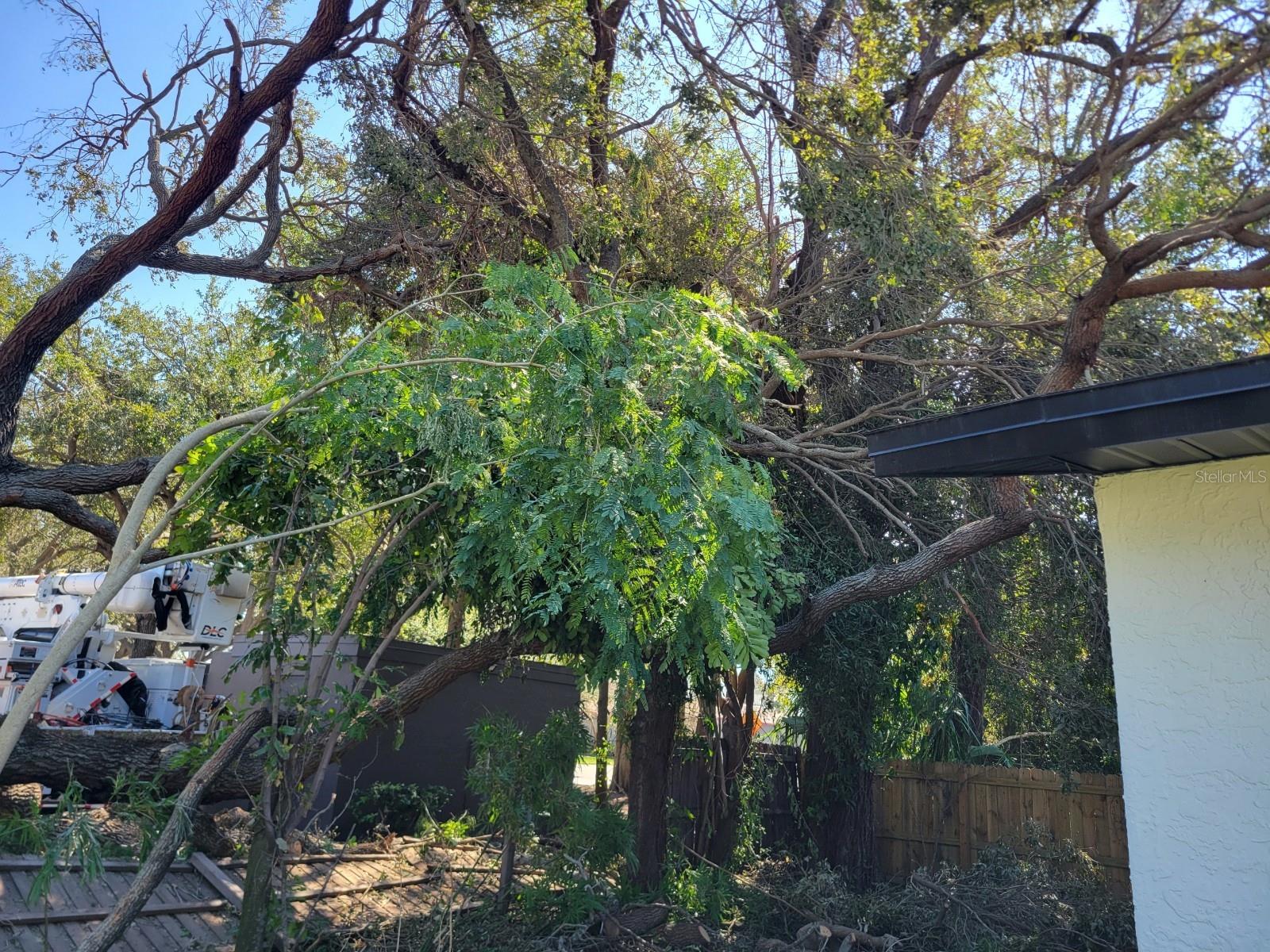 3445 10TH AVE N, ST PETERSBURG, FL, 33713