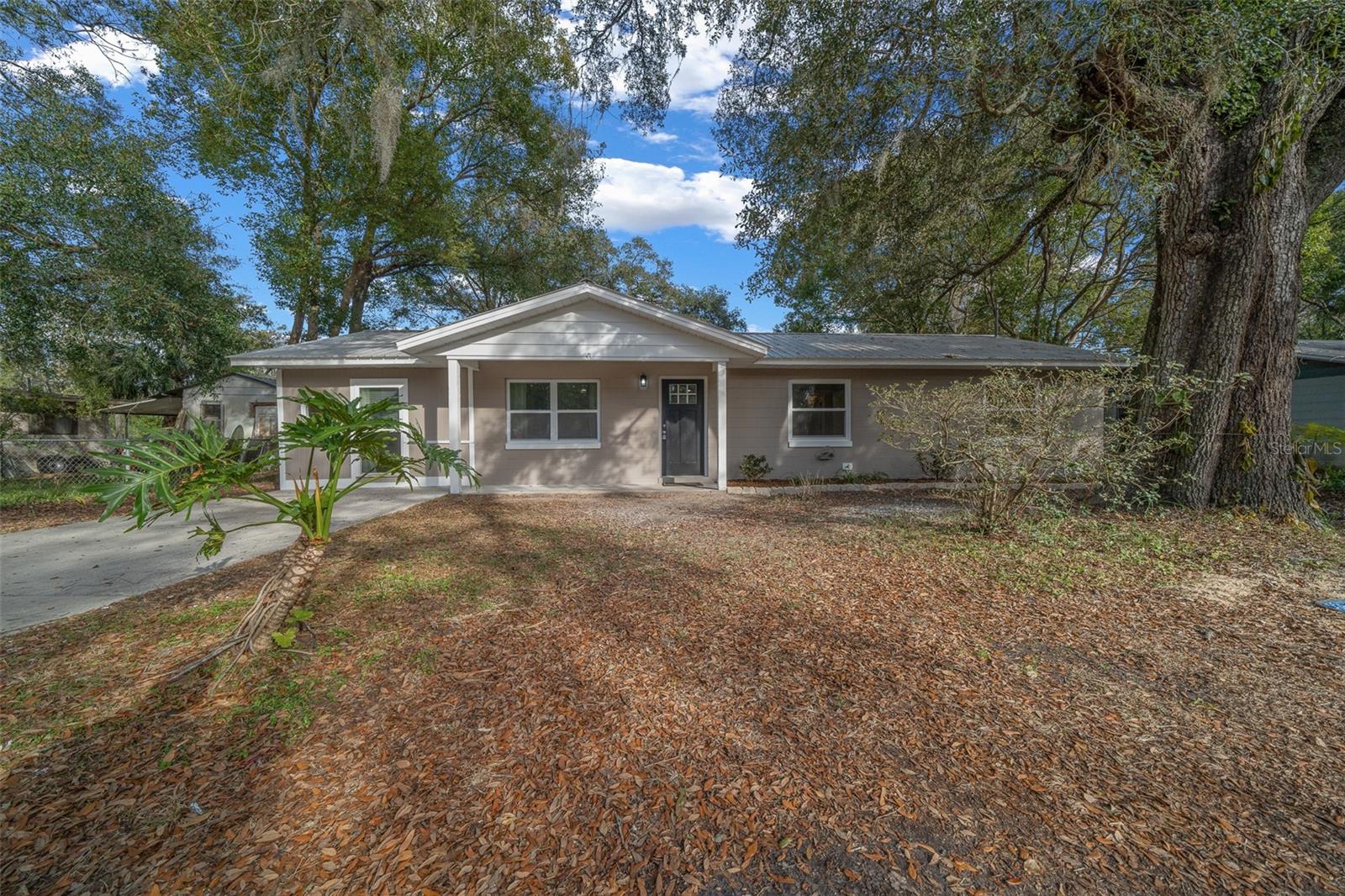 319 SE 4TH DR, WILLISTON, FL, 32696