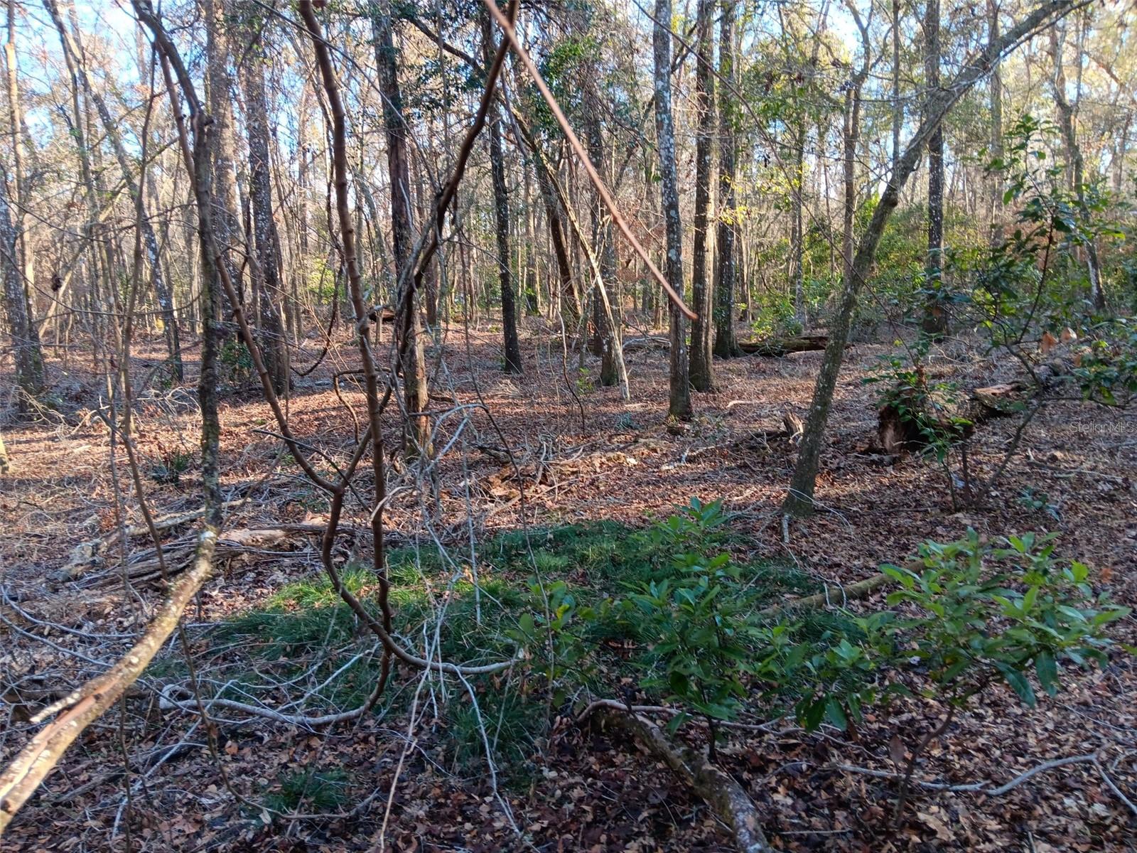 00 NE 127 ST #N127S, BRANFORD, FL, 32008