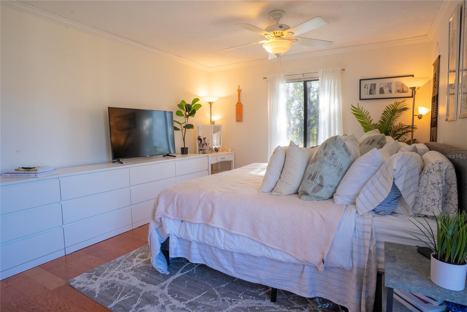 1433 PINE GLEN PL #G2, TARPON SPRINGS, FL, 34688