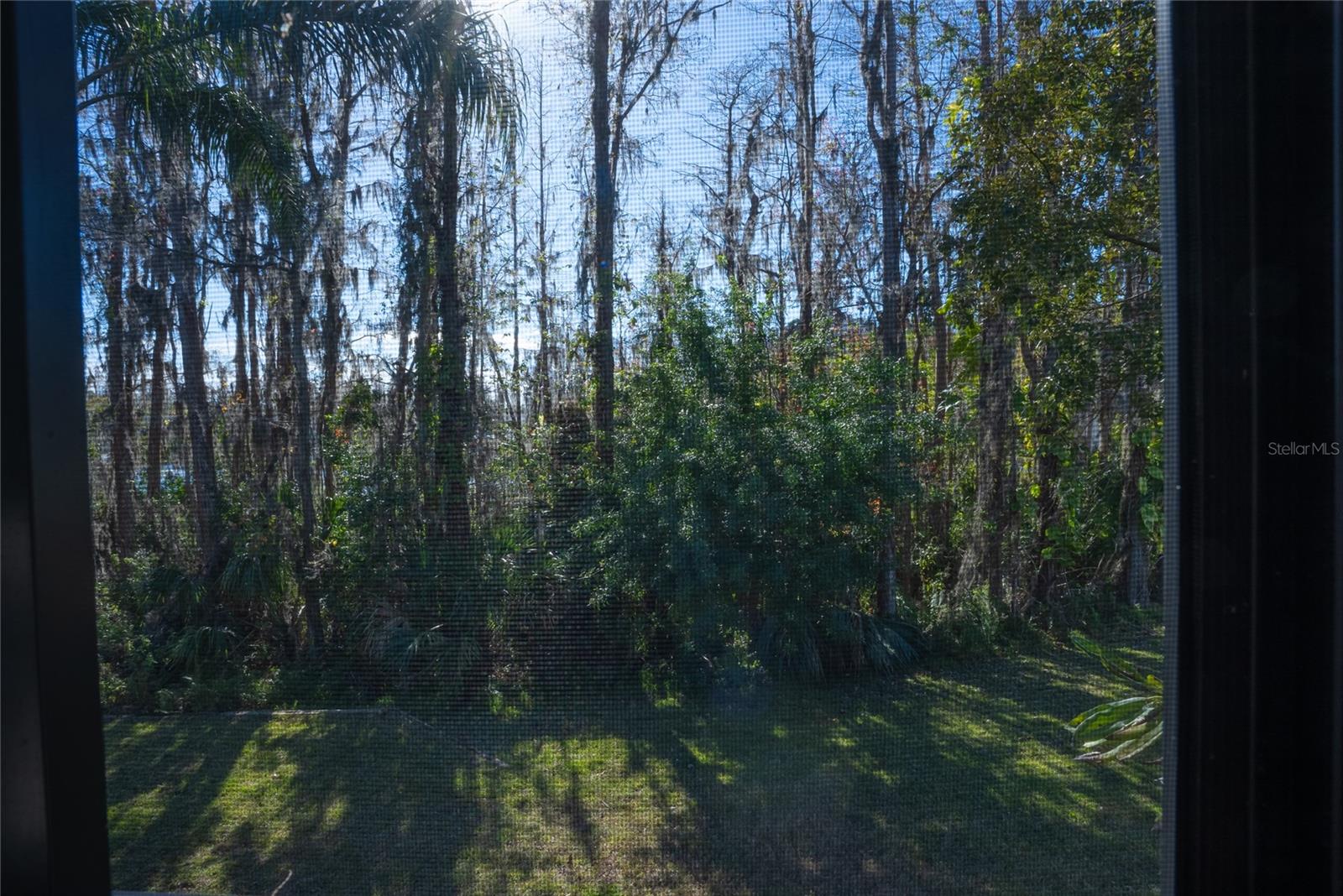 1433 PINE GLEN PL #G2, TARPON SPRINGS, FL, 34688
