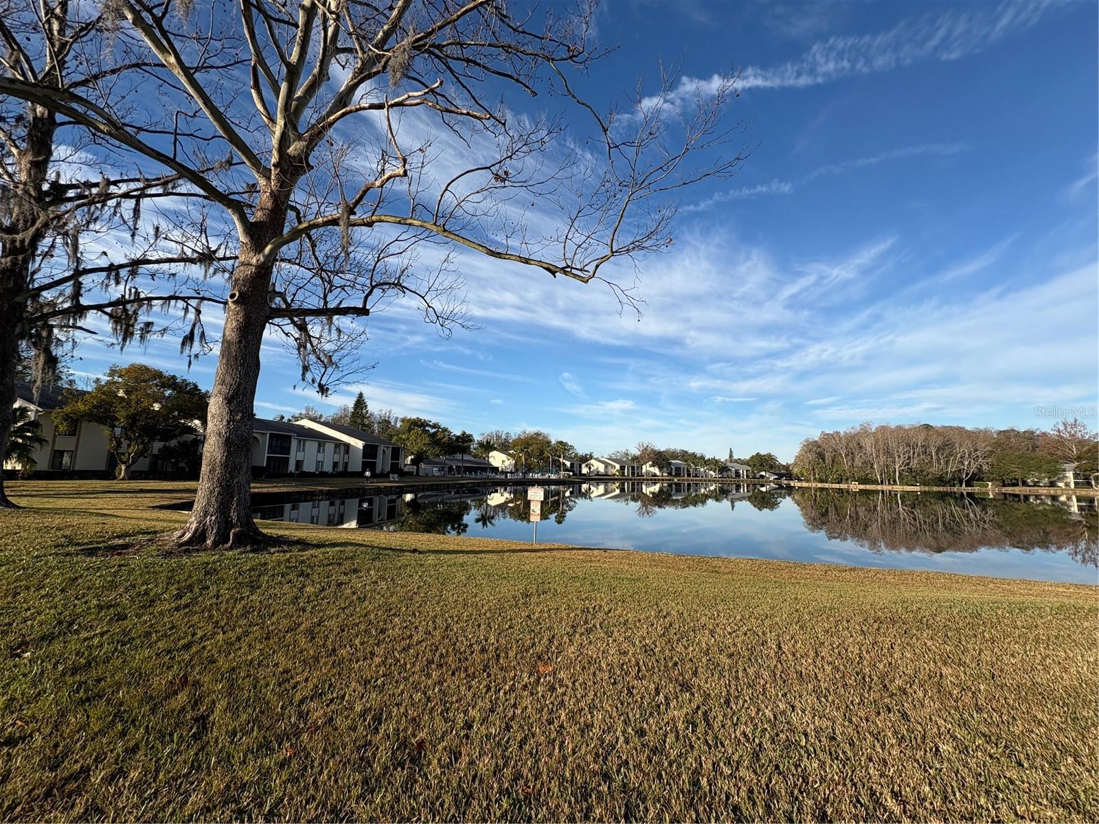1433 PINE GLEN PL #G2, TARPON SPRINGS, FL, 34688