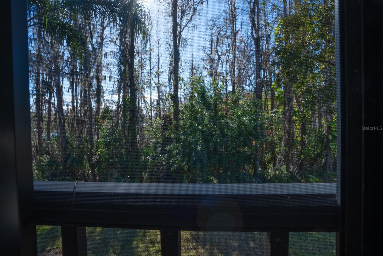 1433 PINE GLEN PL #G2, TARPON SPRINGS, FL, 34688