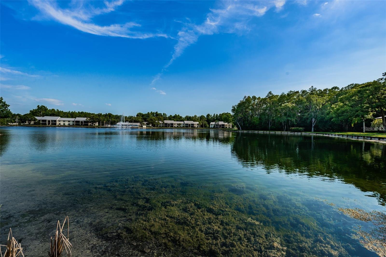 1433 PINE GLEN PL #G2, TARPON SPRINGS, FL, 34688