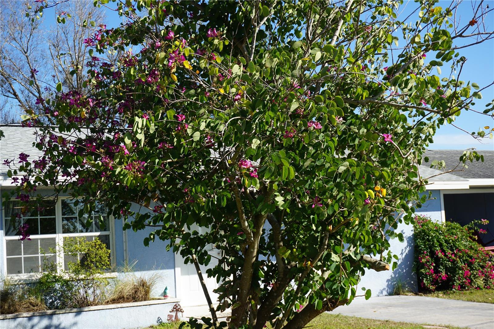 422 OMEN ST, PUNTA GORDA, FL, 33982