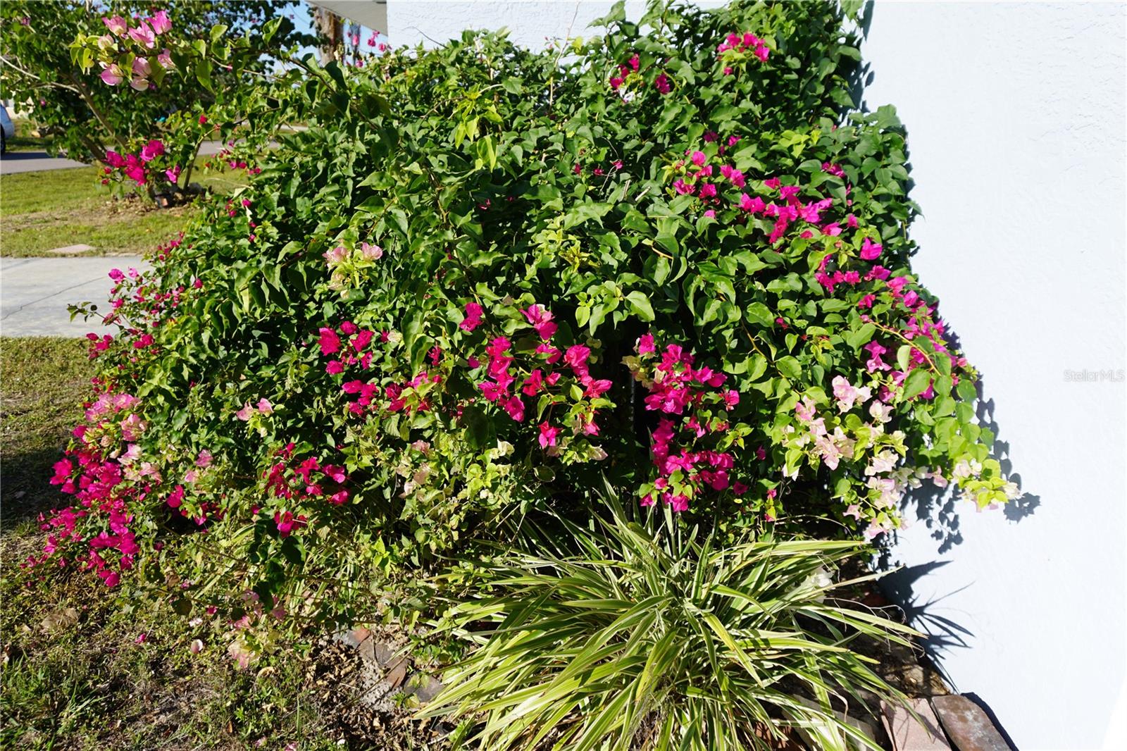 422 OMEN ST, PUNTA GORDA, FL, 33982
