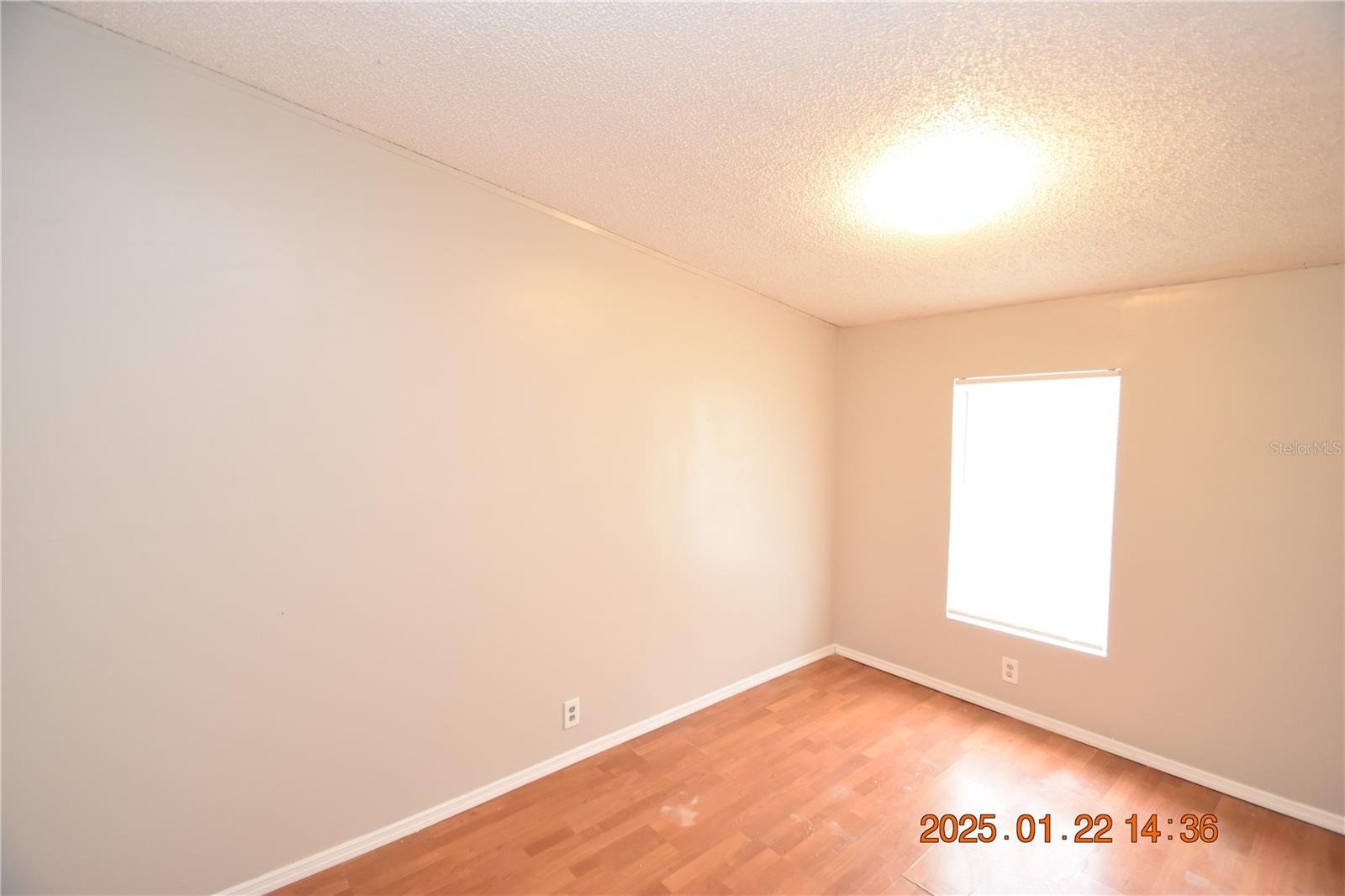 16822 LASHUA DR, SPRING HILL, FL, 34610