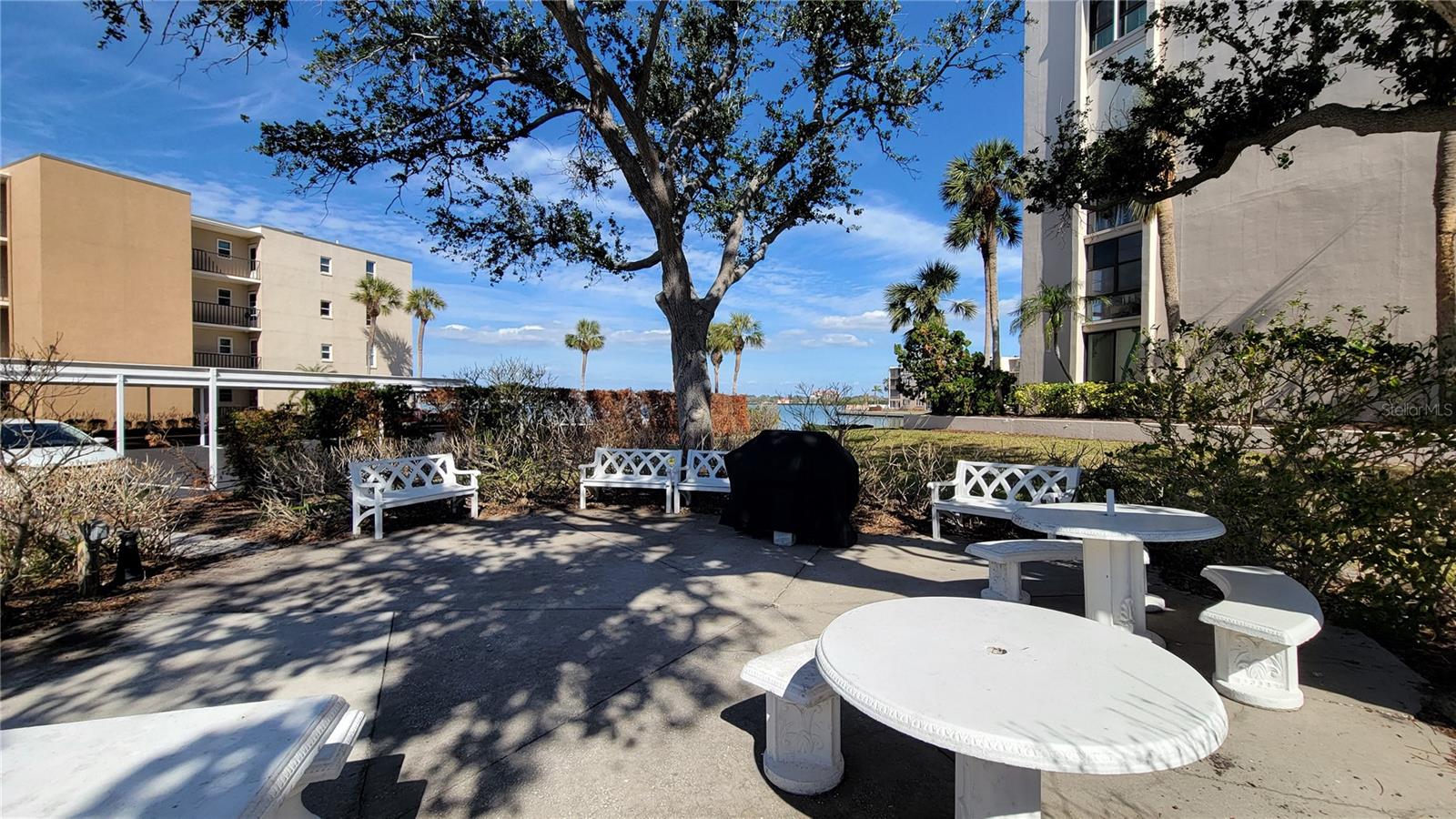 7700 SUN ISLAND DR S #702, SOUTH PASADENA, FL, 33707