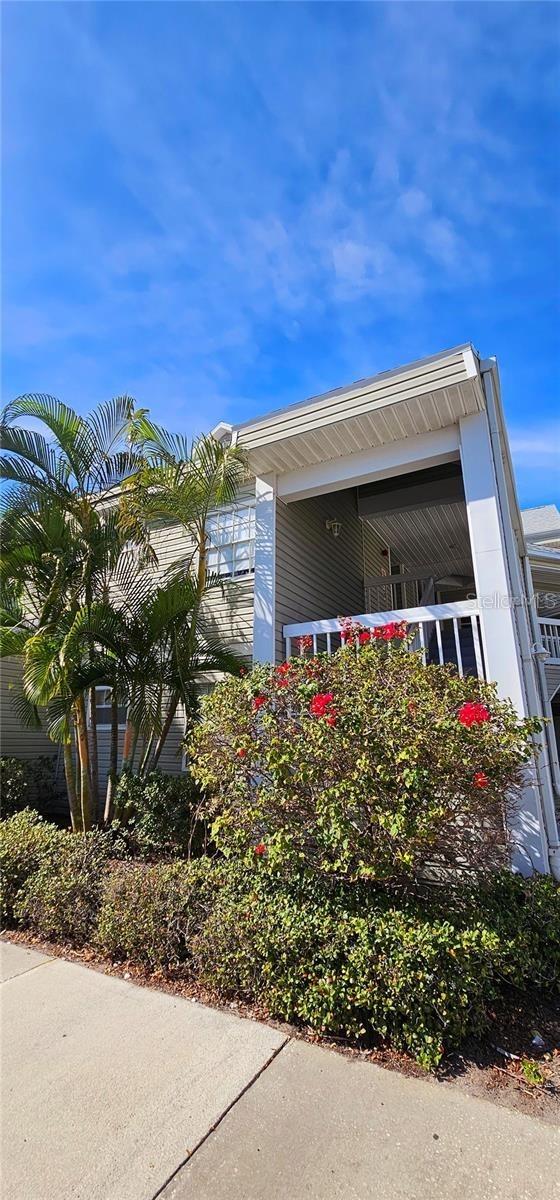 6923 STONES THROW CIR N #4202, ST PETERSBURG, FL, 33710