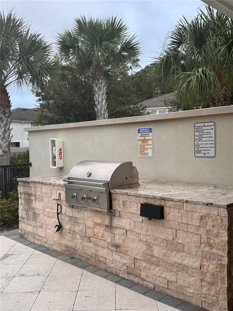 17841 ALTHEA BLUE PL, LUTZ, FL, 33558