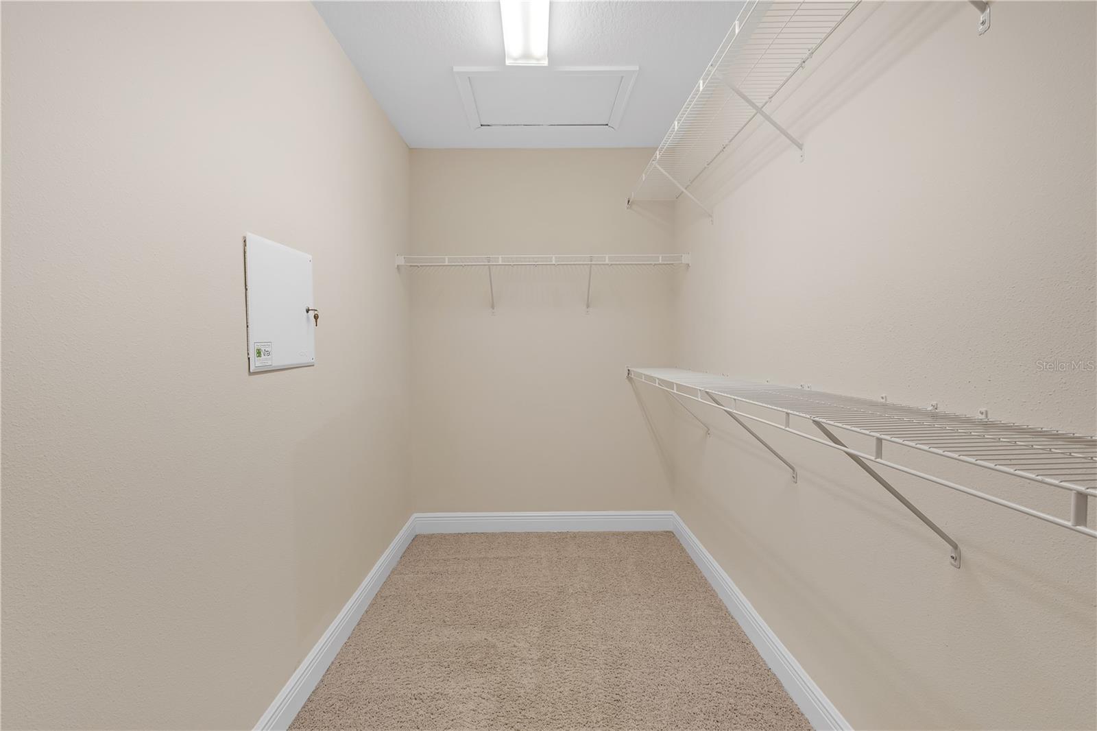 17841 ALTHEA BLUE PL, LUTZ, FL, 33558