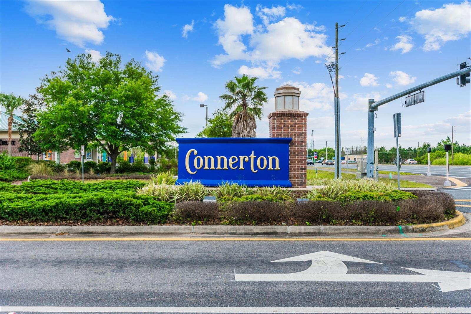 22103 BLAZING STAR RUN, LAND O LAKES, FL, 34637