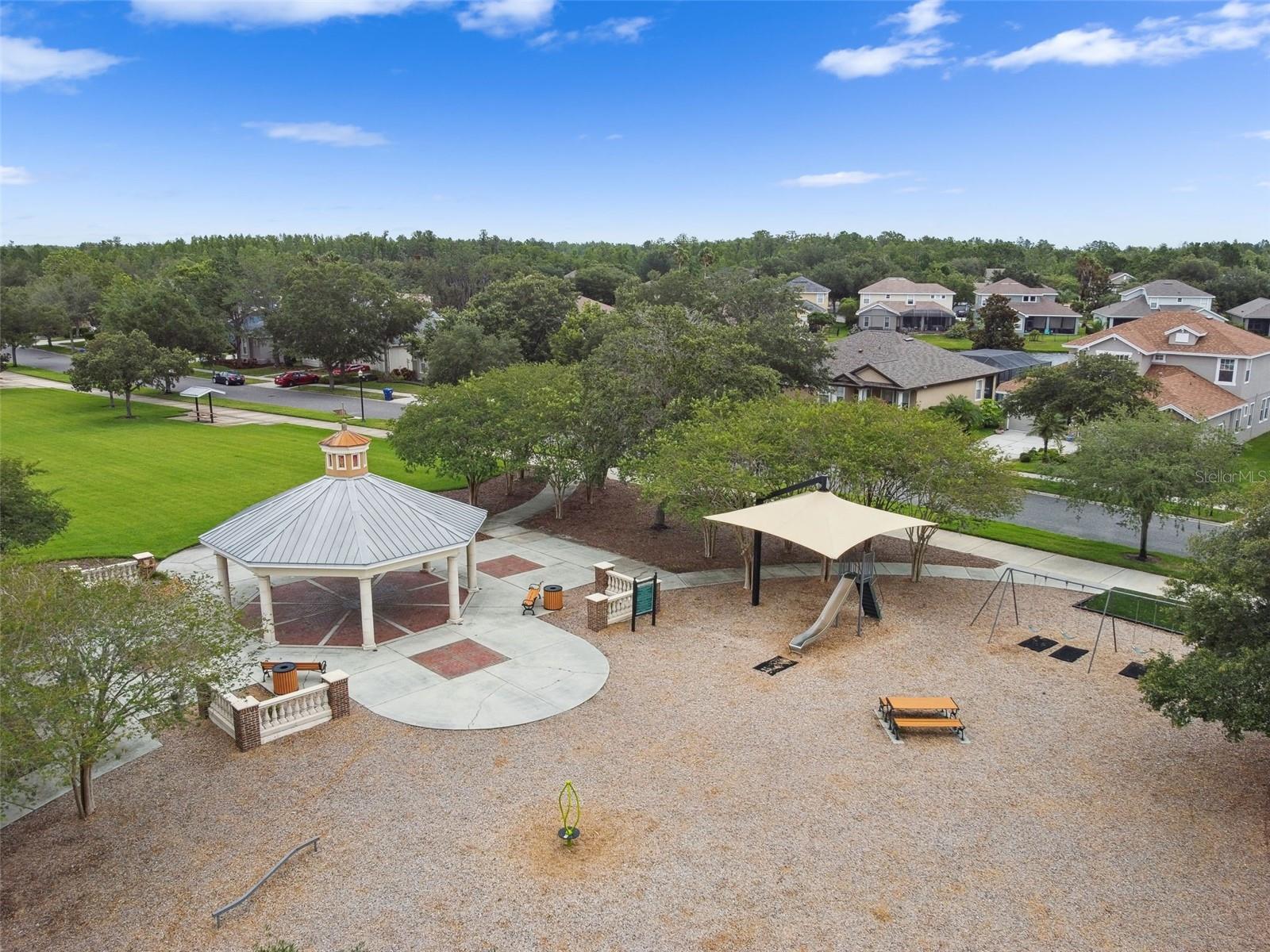 22103 BLAZING STAR RUN, LAND O LAKES, FL, 34637