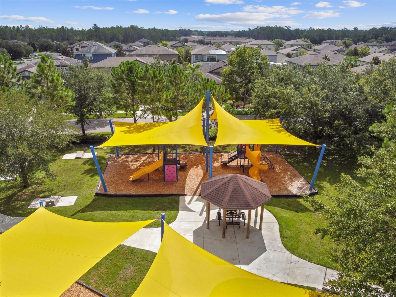 22103 BLAZING STAR RUN, LAND O LAKES, FL, 34637