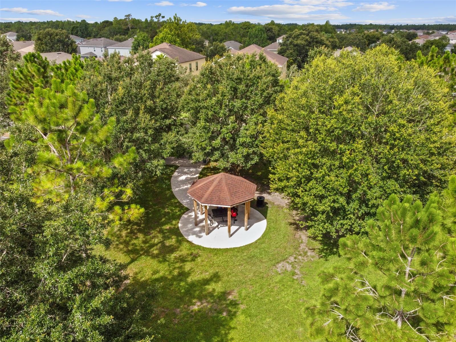 22103 BLAZING STAR RUN, LAND O LAKES, FL, 34637
