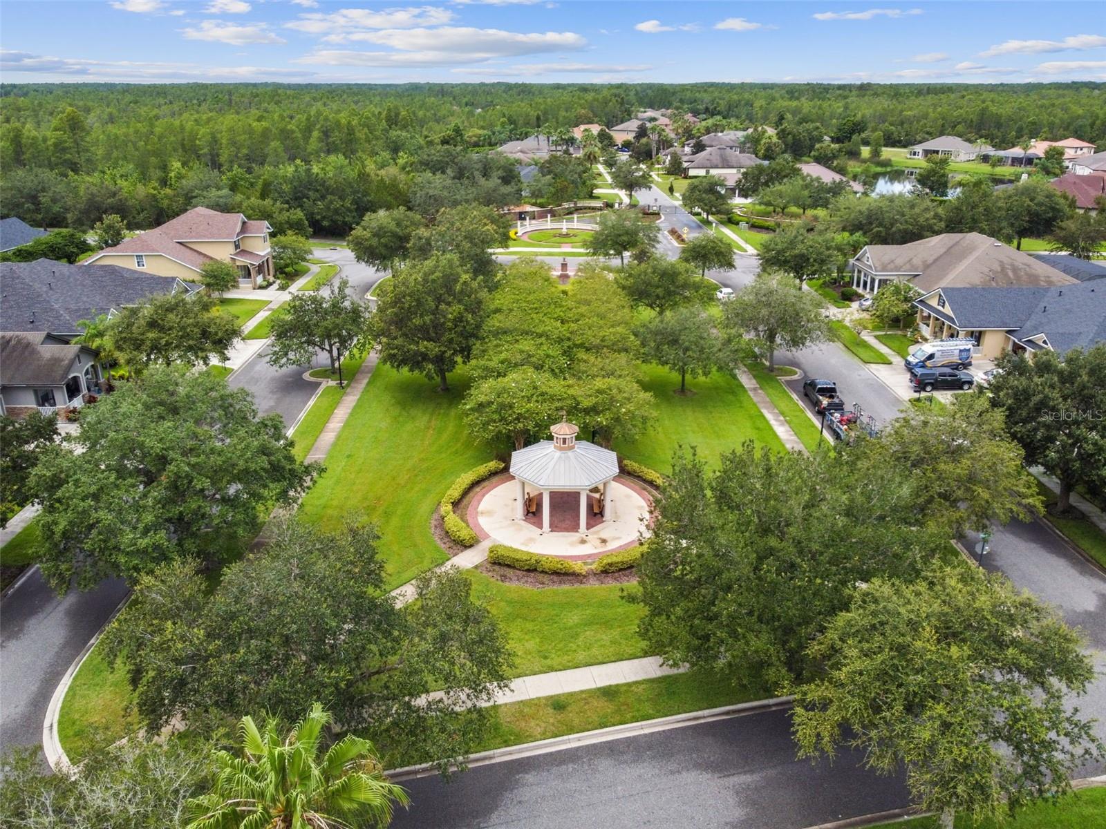 22103 BLAZING STAR RUN, LAND O LAKES, FL, 34637