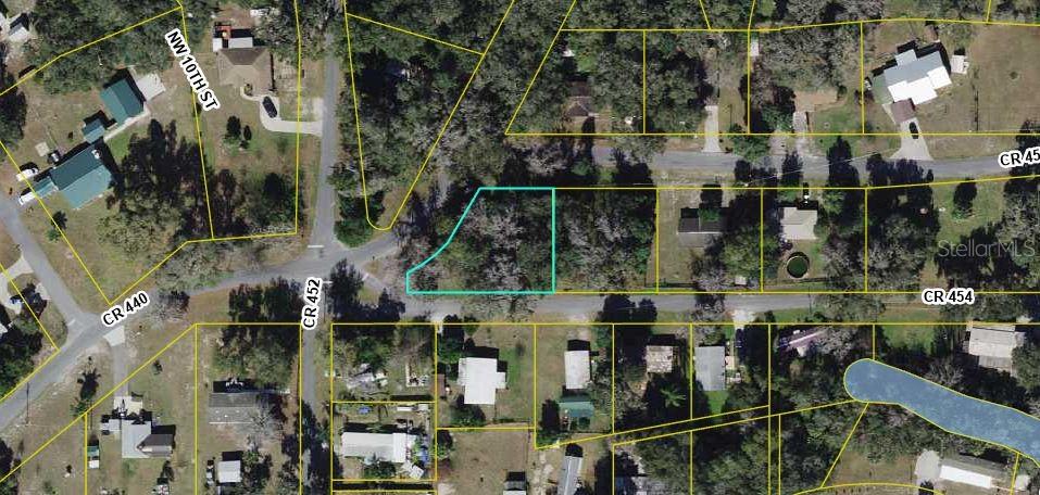 CR 455 & CR 454, LAKE PANASOFFKEE, FL, 33538