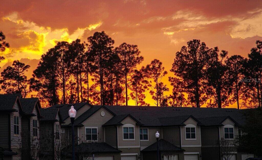 1100 PAVIA DR, APOPKA, FL, 32703