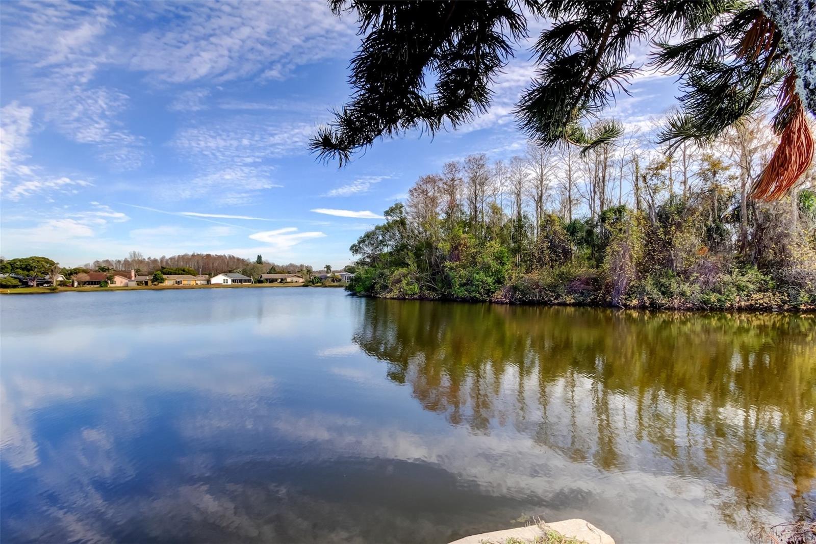 4728 SWALLOWTAIL DR, NEW PORT RICHEY, FL, 34653