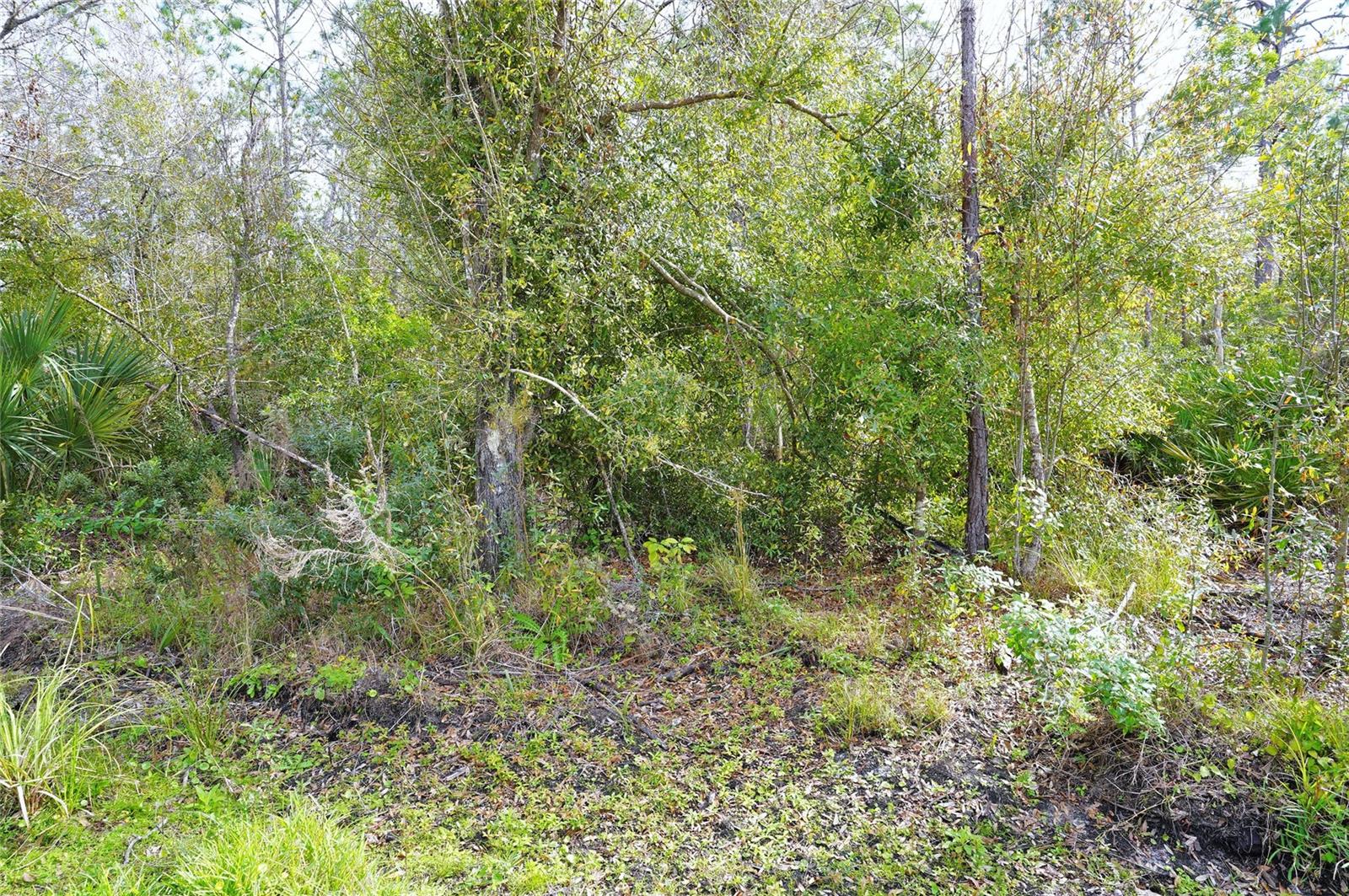 23447 CORINNE AVE, PUNTA GORDA, FL, 33980