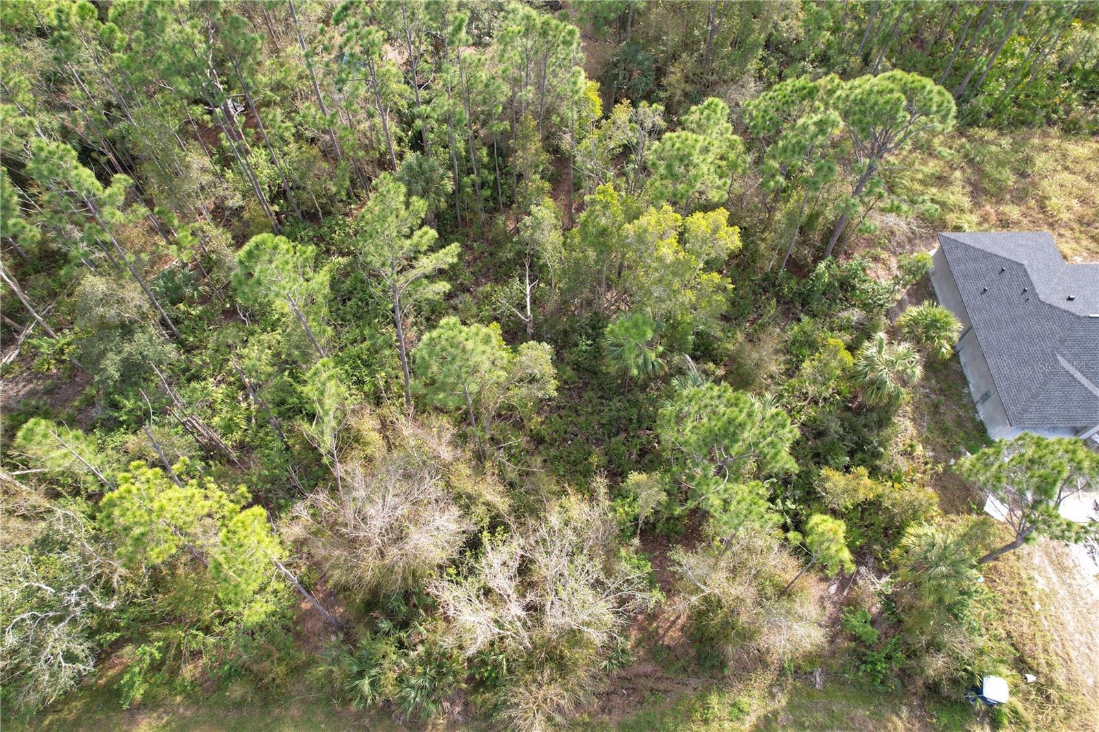 23447 CORINNE AVE, PUNTA GORDA, FL, 33980