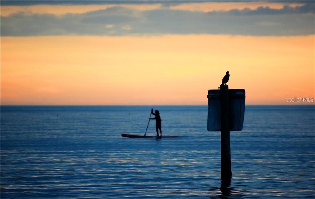 23447 CORINNE AVE, PUNTA GORDA, FL, 33980