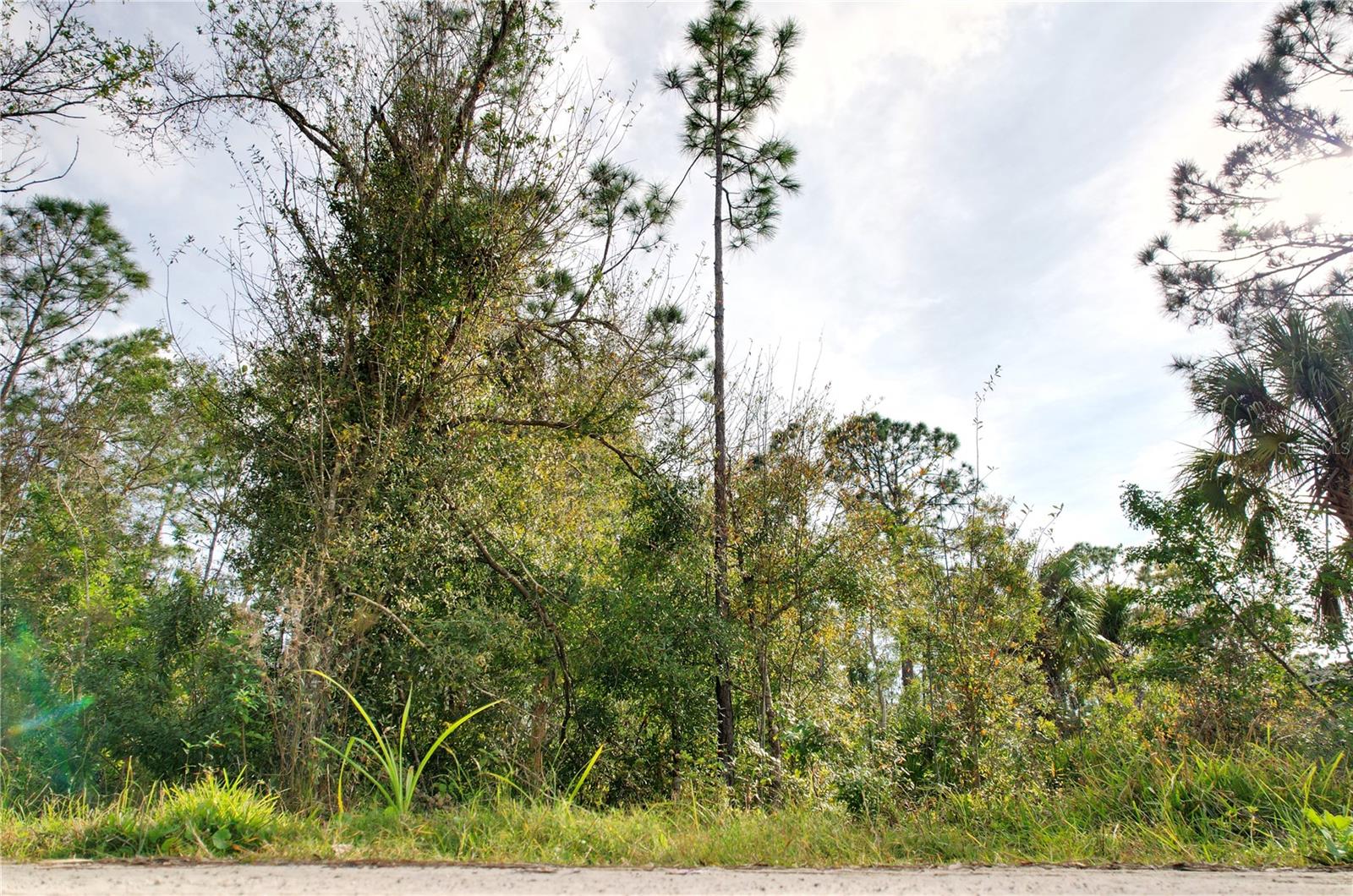 23447 CORINNE AVE, PUNTA GORDA, FL, 33980