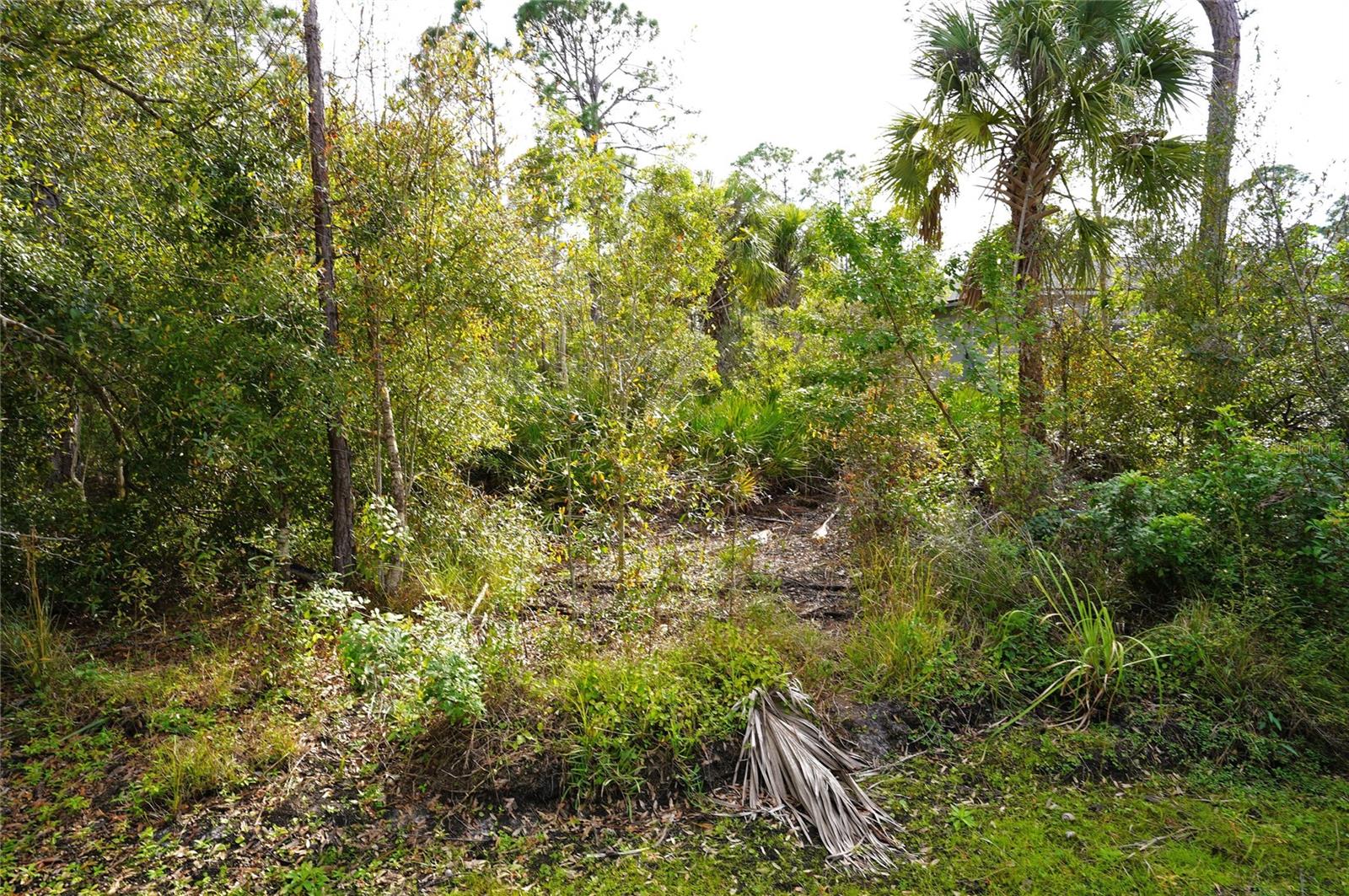 23447 CORINNE AVE, PUNTA GORDA, FL, 33980