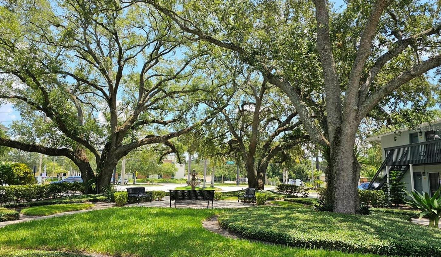 4876 CONWAY RD #96, ORLANDO, FL, 32812