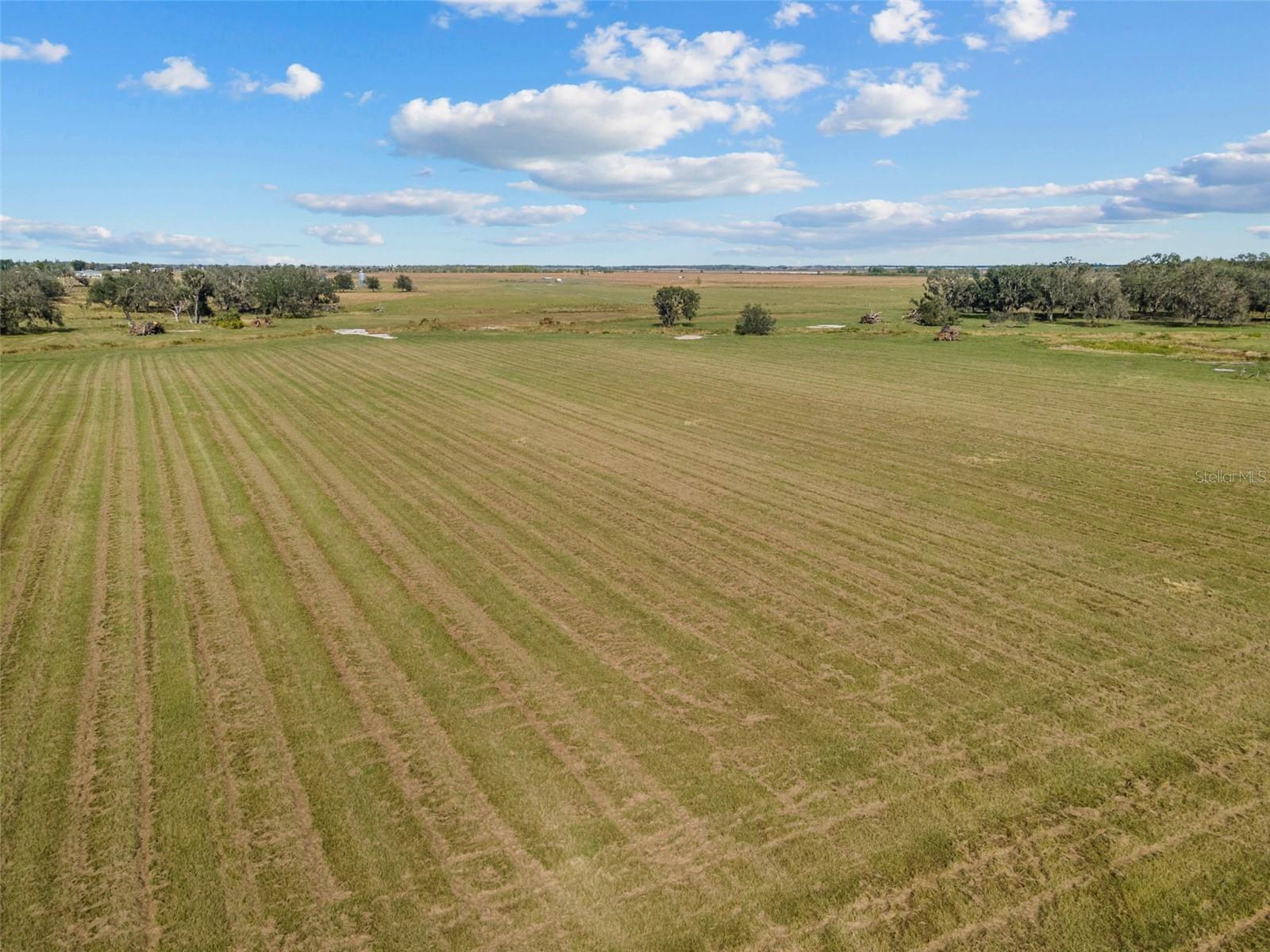 34705 & 34805 CLAY GULLY RD, MYAKKA CITY, FL, 34251