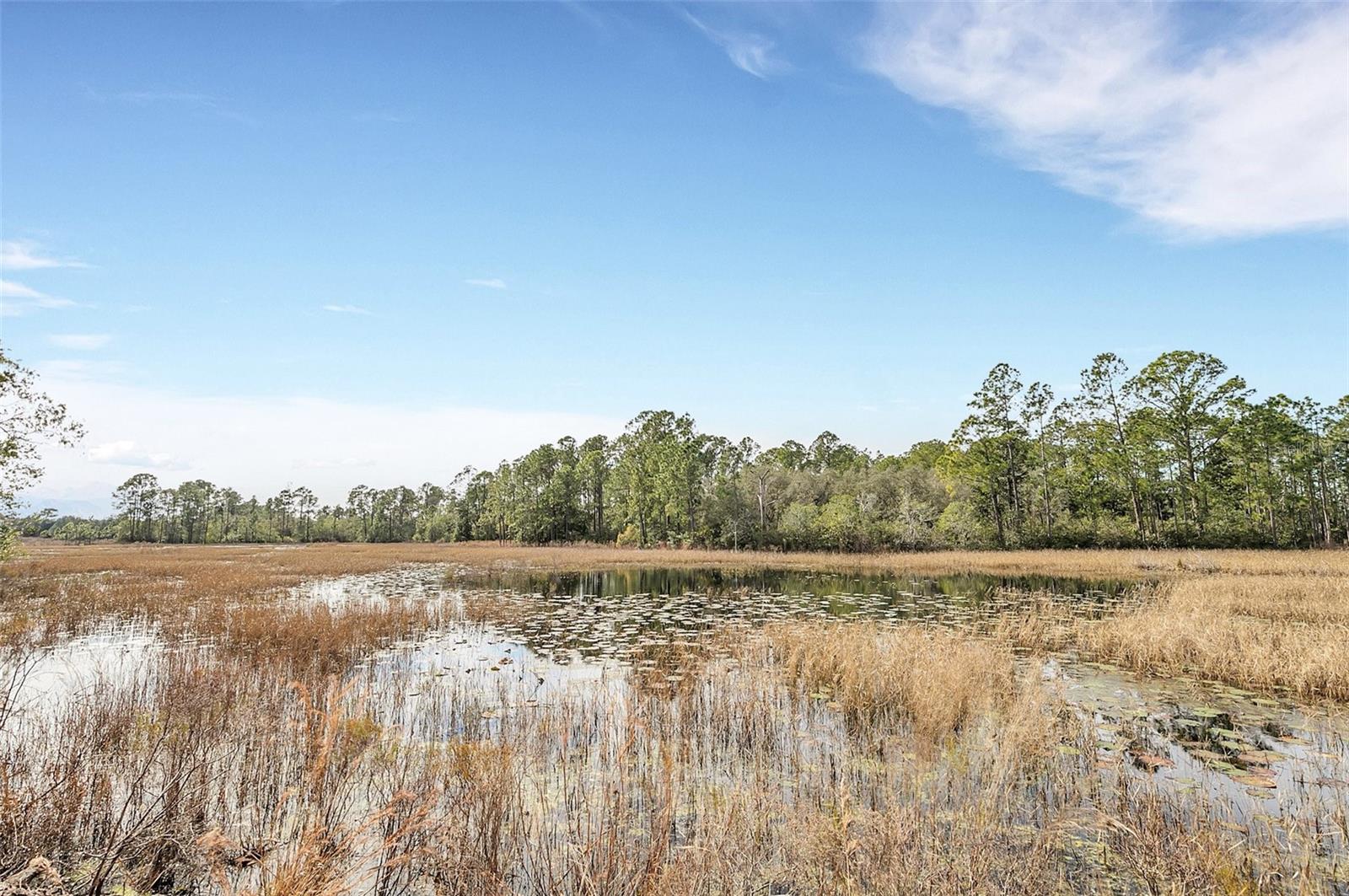 39641 ROYAL TRAILS RD, EUSTIS, FL, 32736