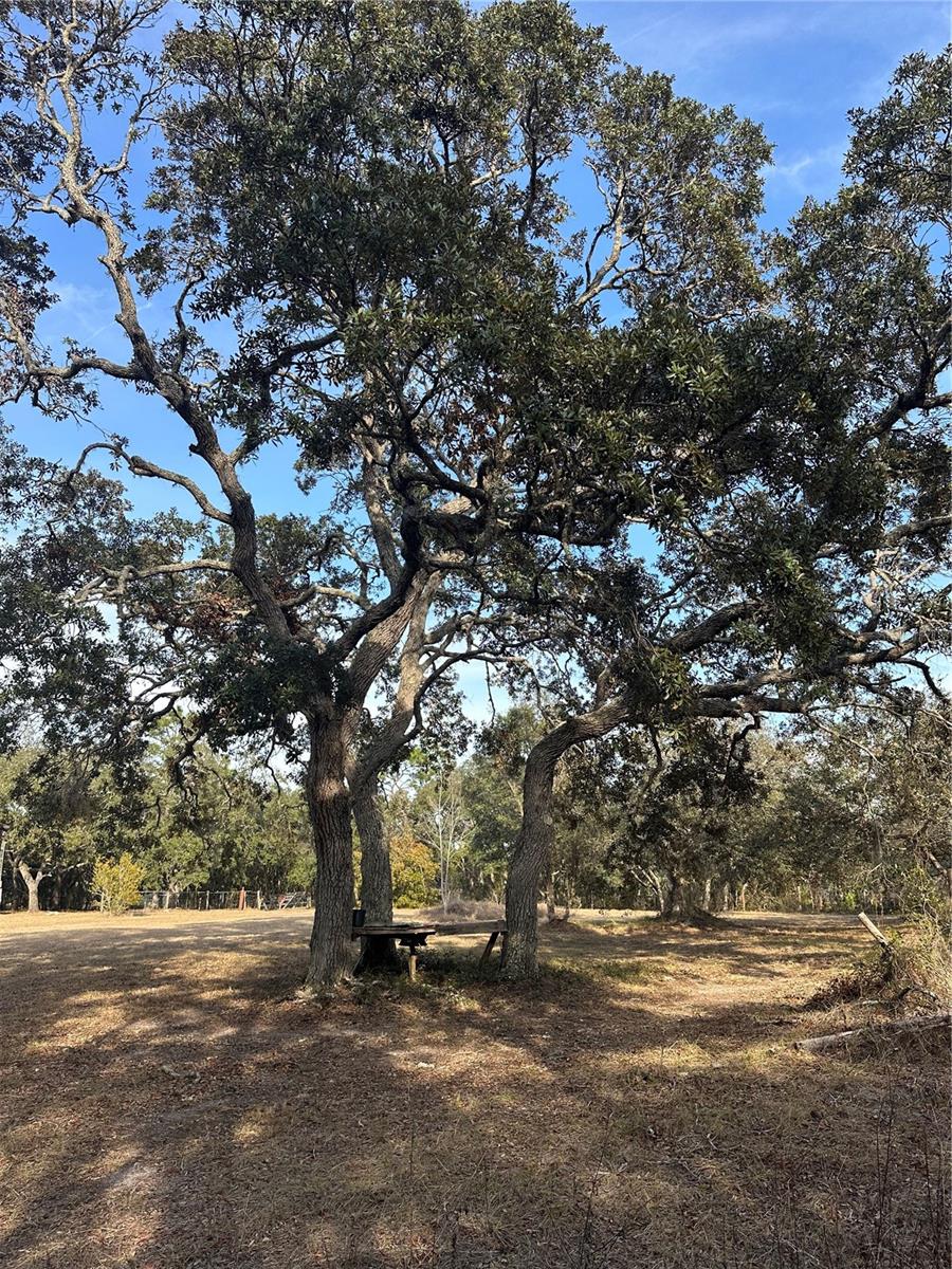 5641 & 5685 S BUTAN PT, HOMOSASSA, FL, 34446